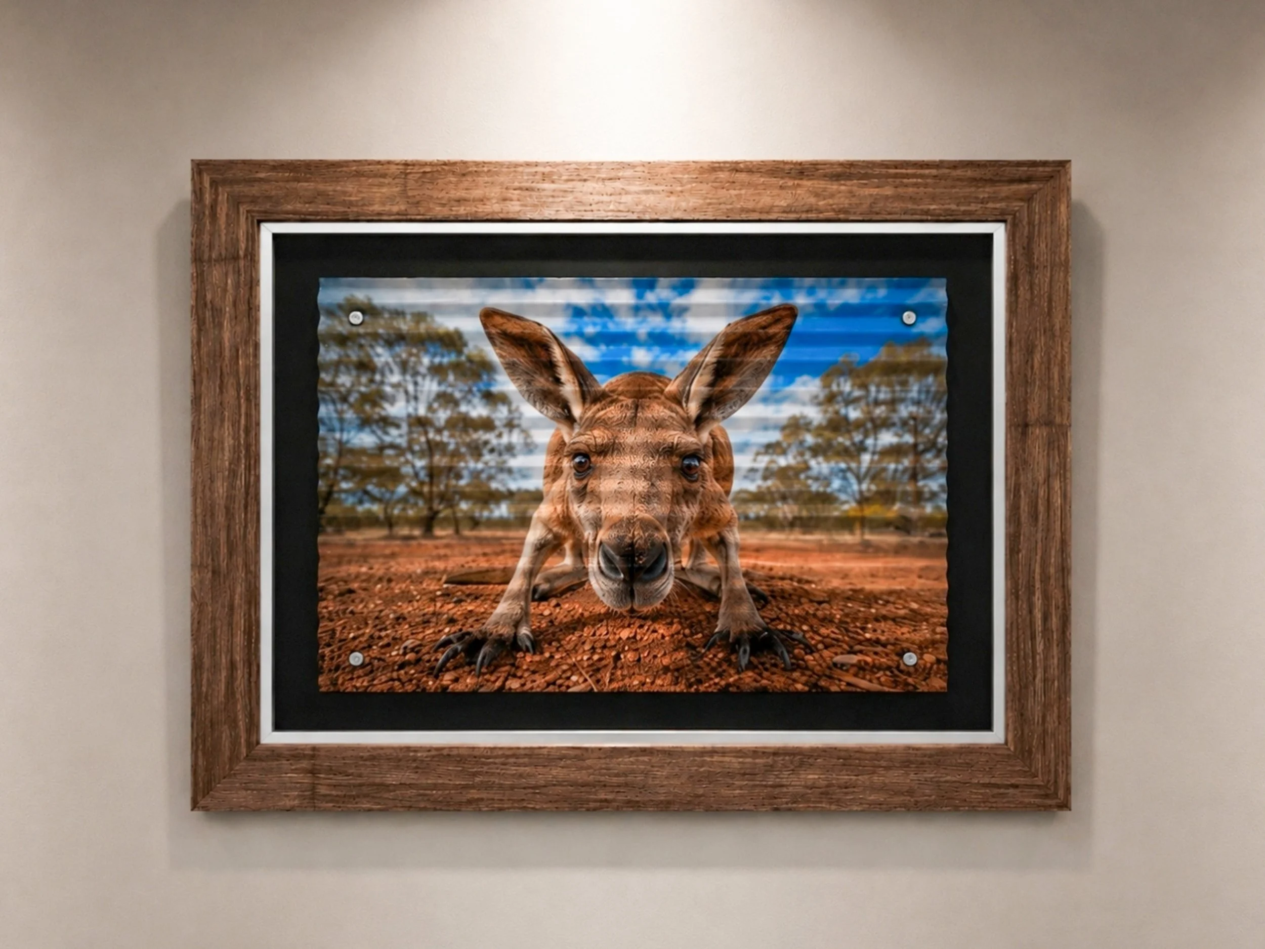 KANGA_F_C.jpg