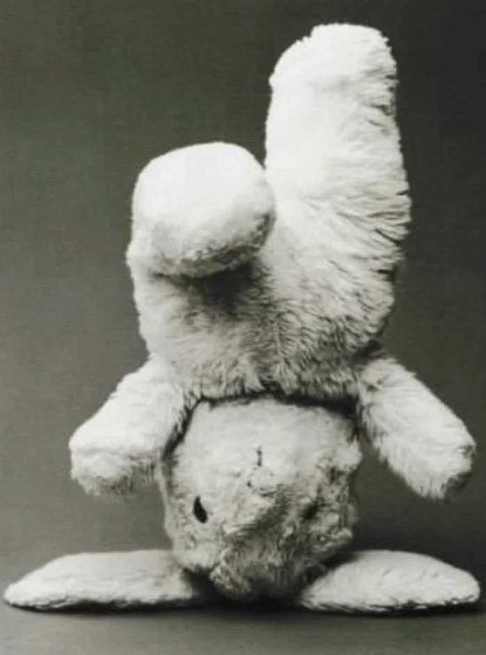 how I feel on the inside + also working on headstands ... 🐰