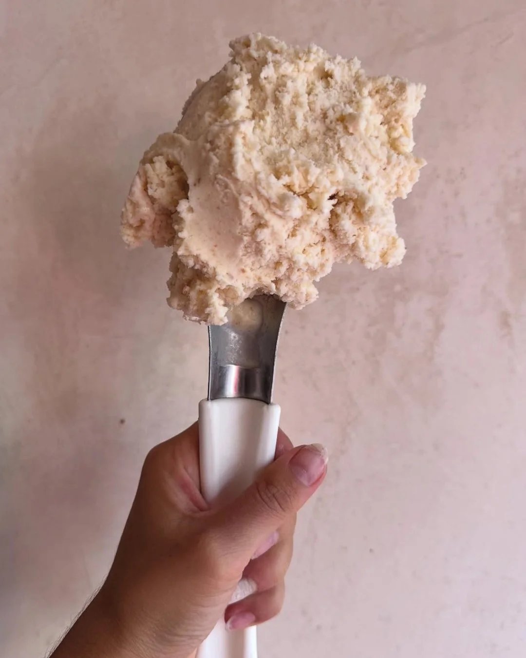 AMORCIAT ICE CREAM 3.jpg