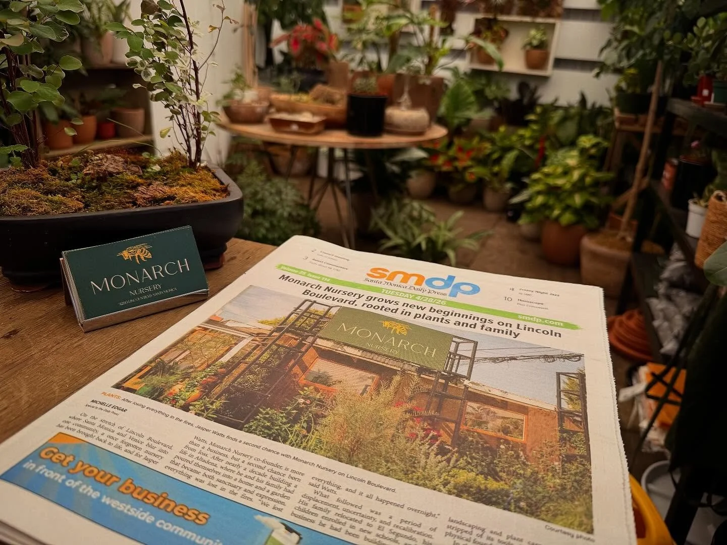 Hot off the press! 📰 

Thanks @michme12 and @smdailypress 🌱