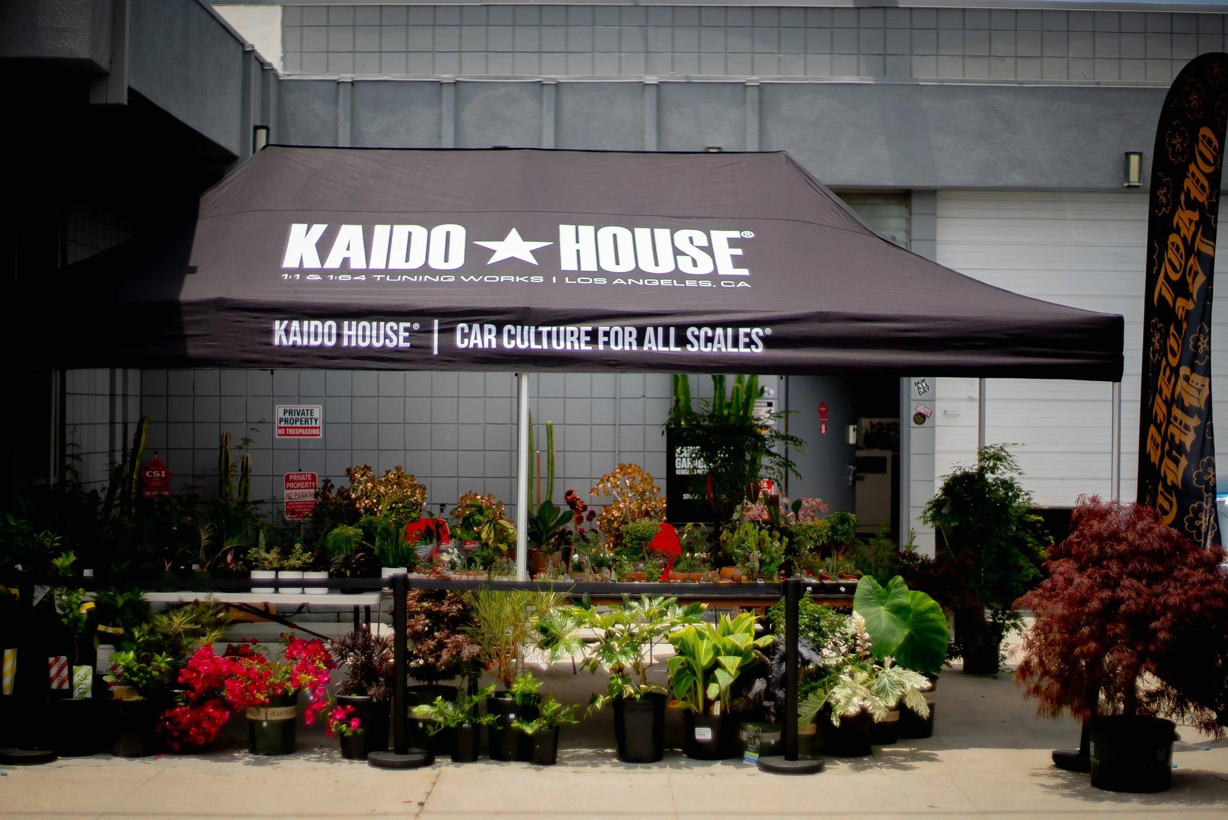 KXM1-68.jpg