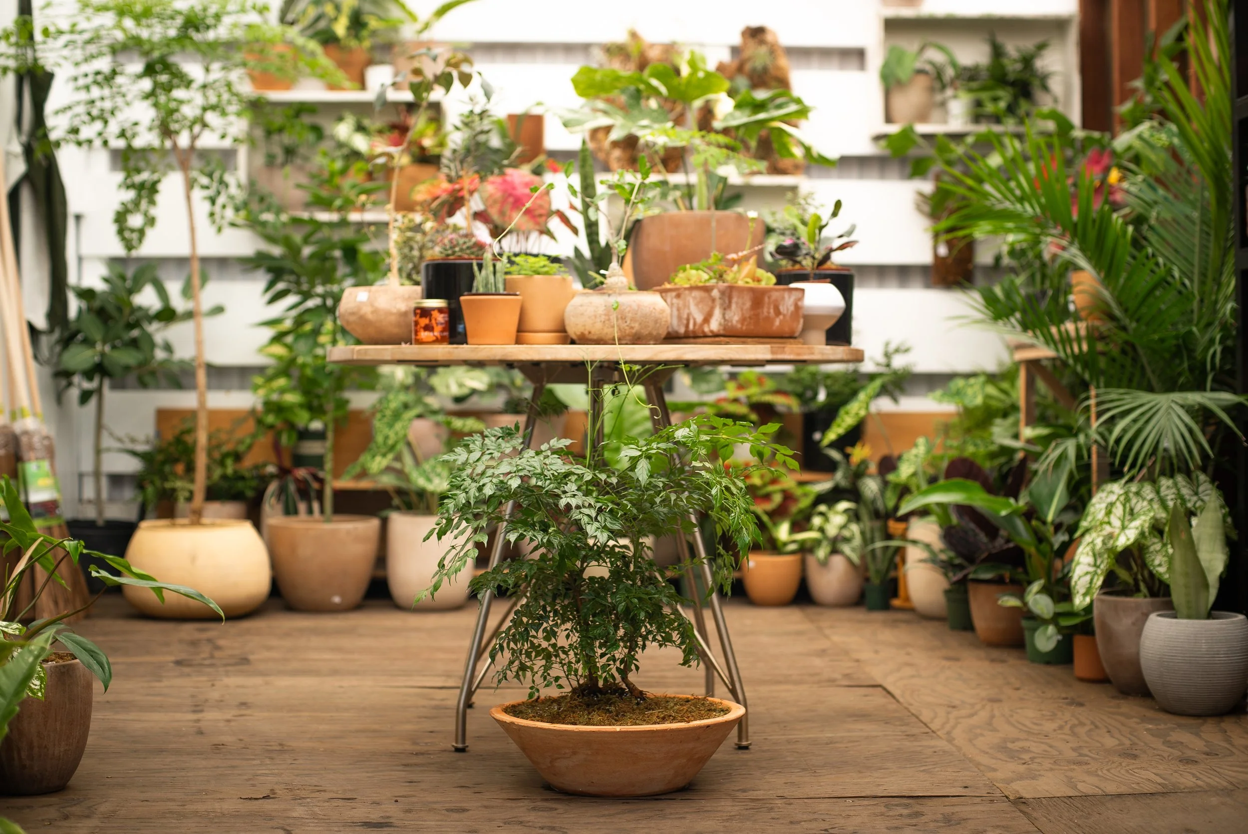 New Greenhouse Selection