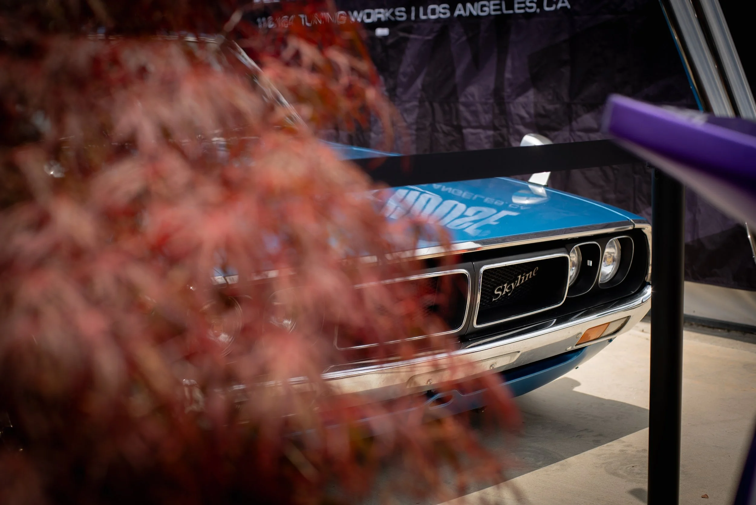 KXM1-64.jpg