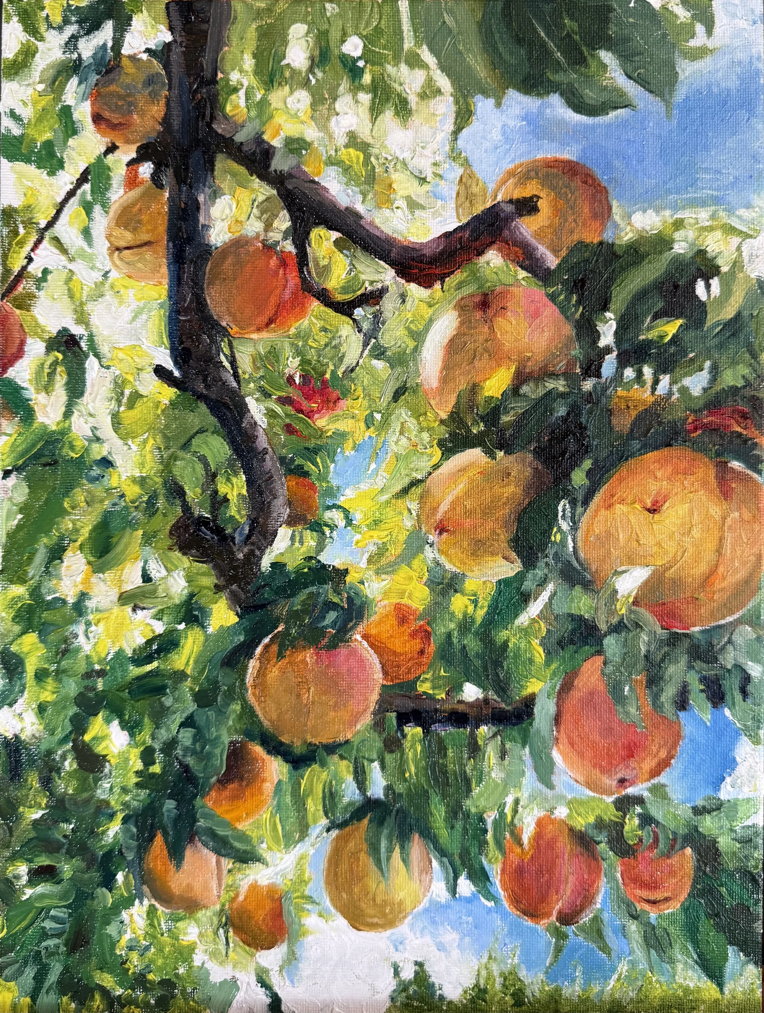 "Virginia Peach Tree"
Acrylic pn Panel
9"x12"
