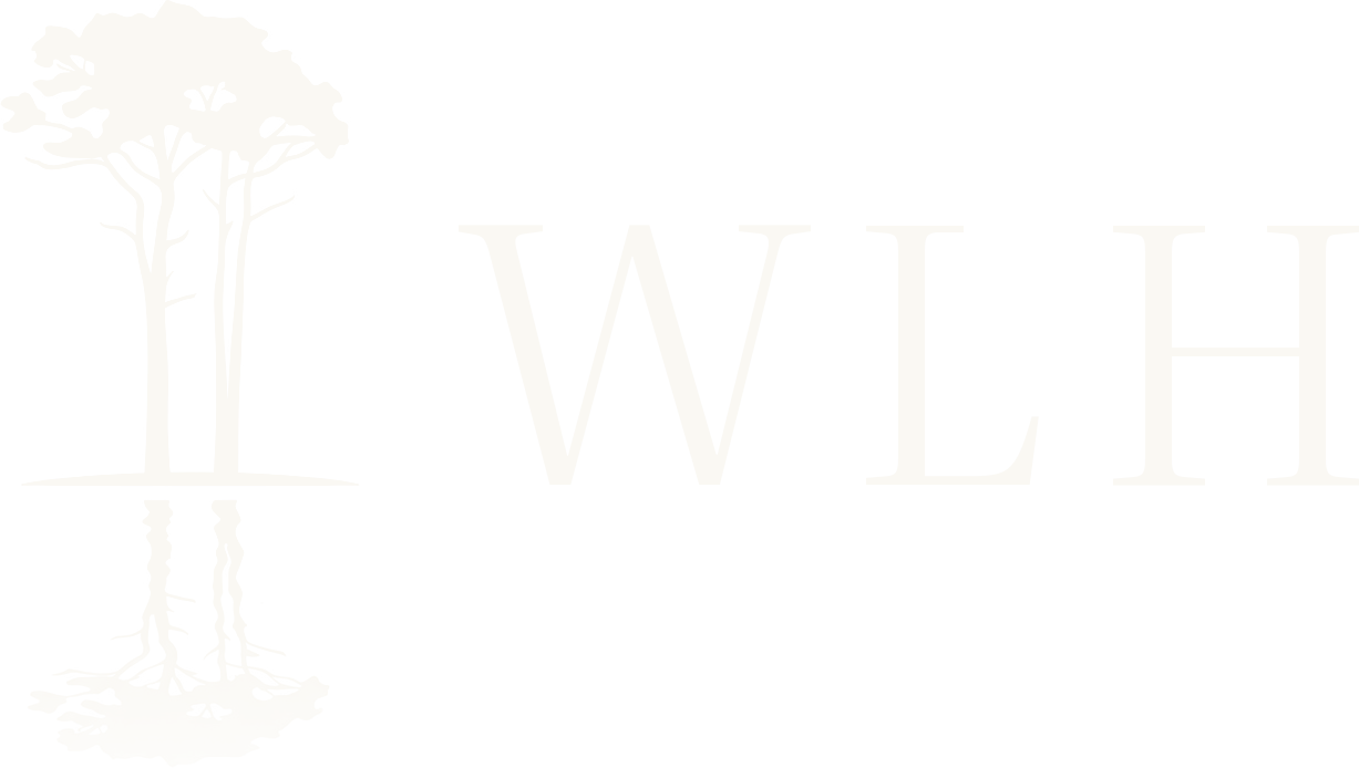 Western Lake Holdings