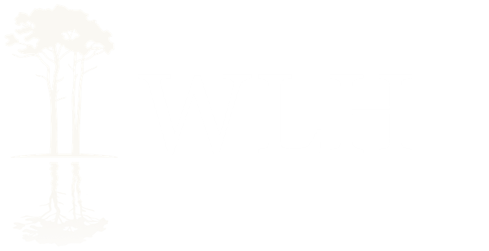Western Lake Holdings