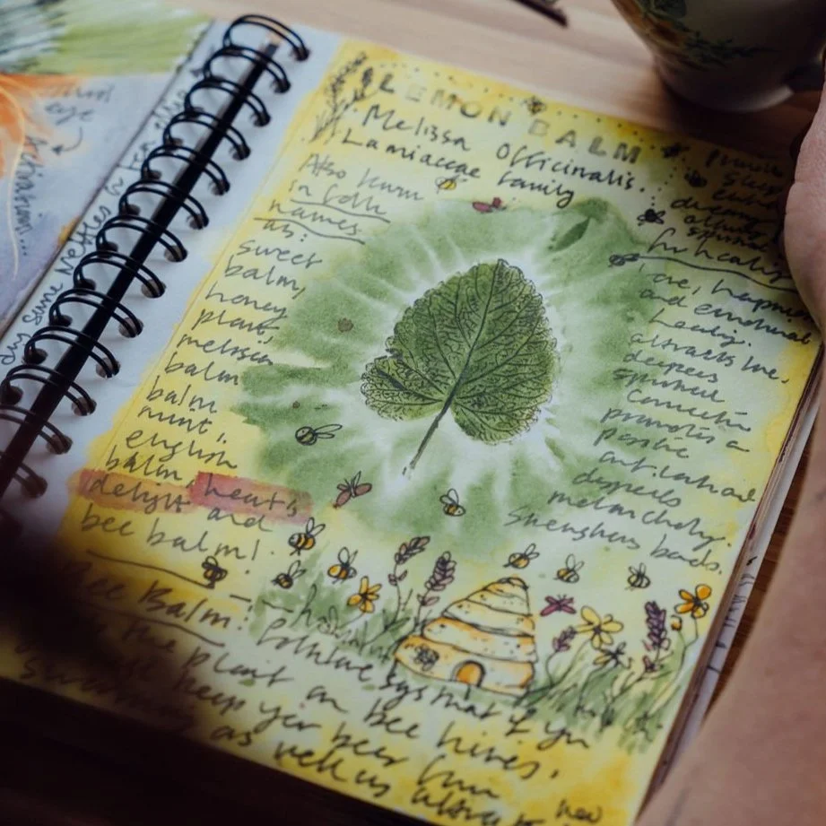 The Vibrancy of  Spring: Nature Journalling - Saturday 16th May 2026