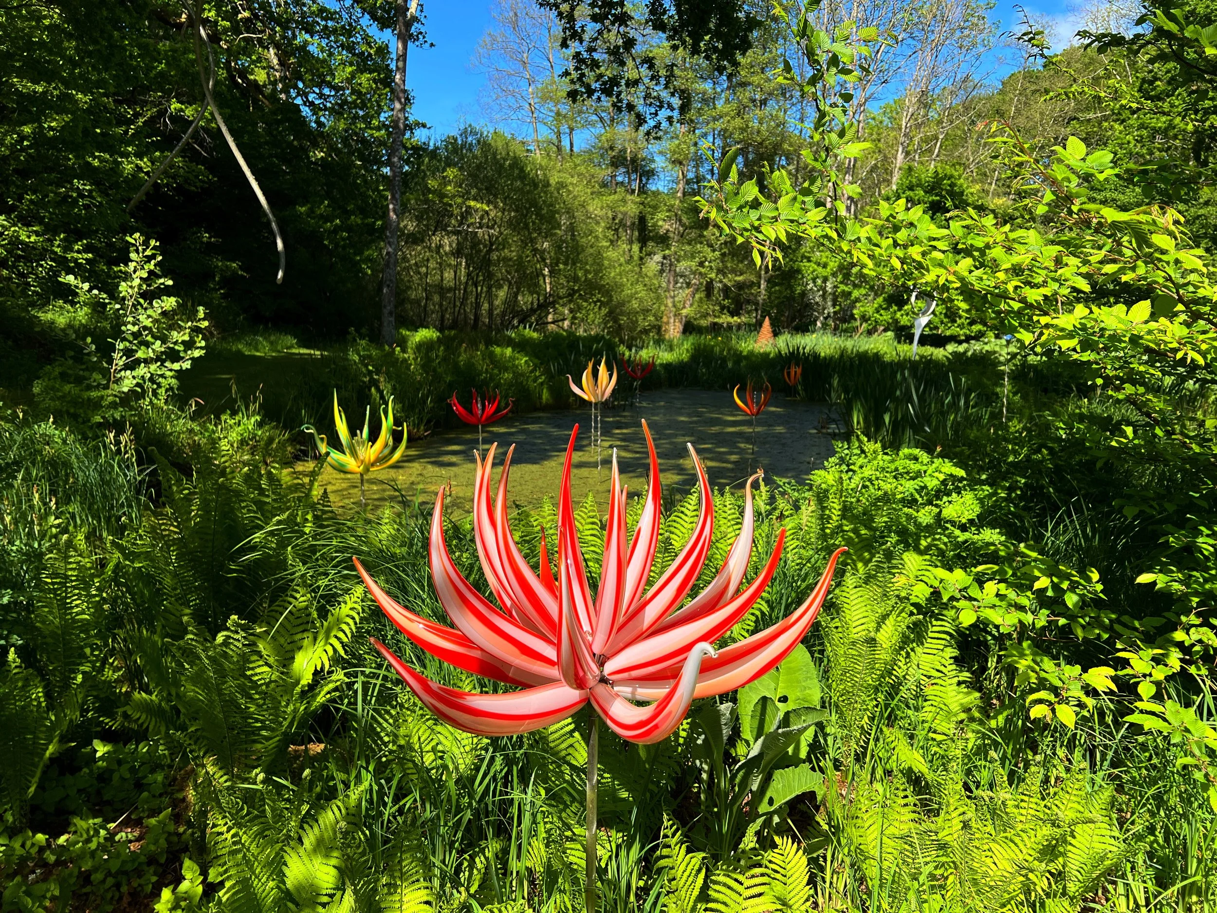 Neil Wilkin installation 2025.jpg