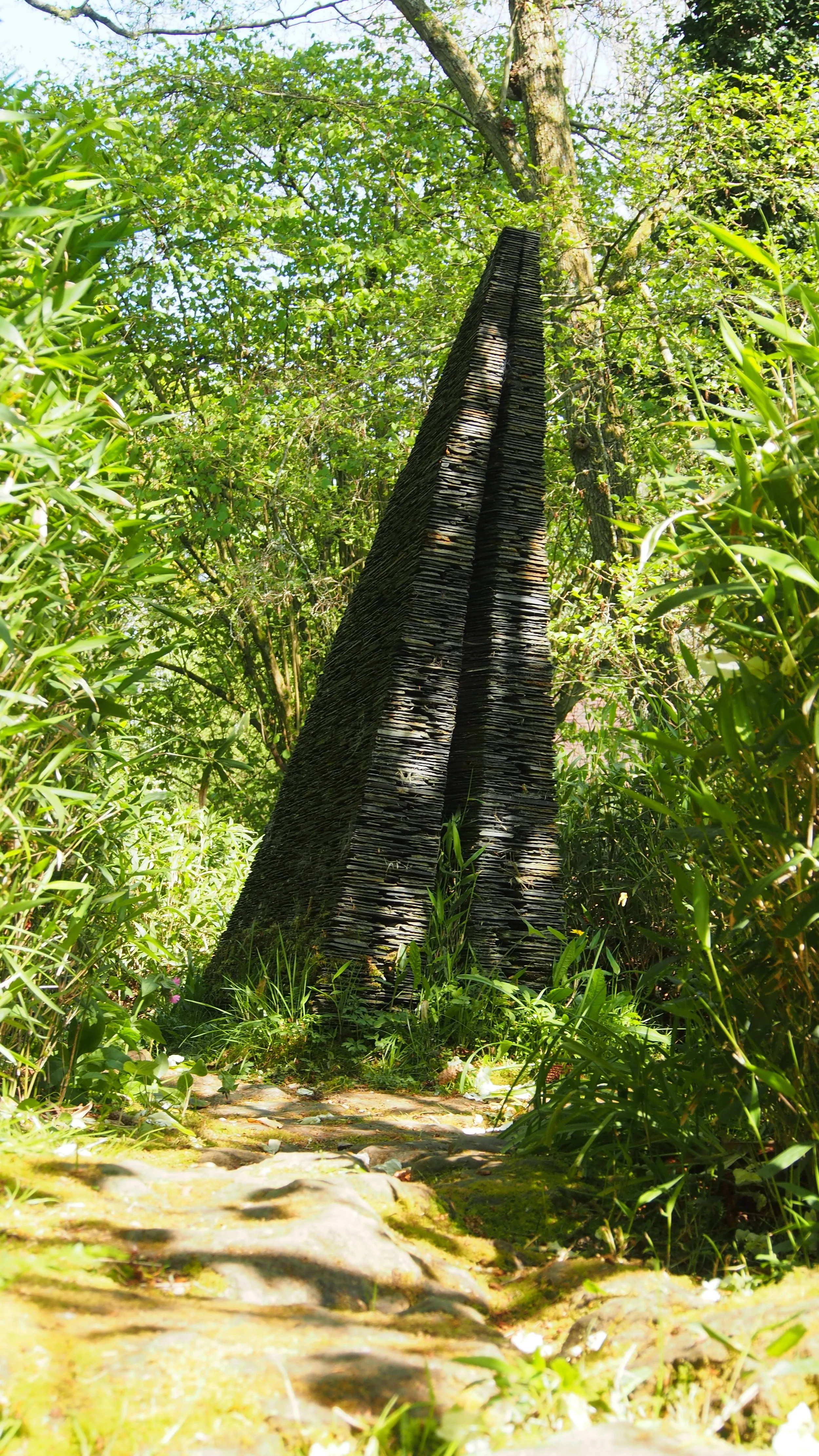 P4300141.JPG