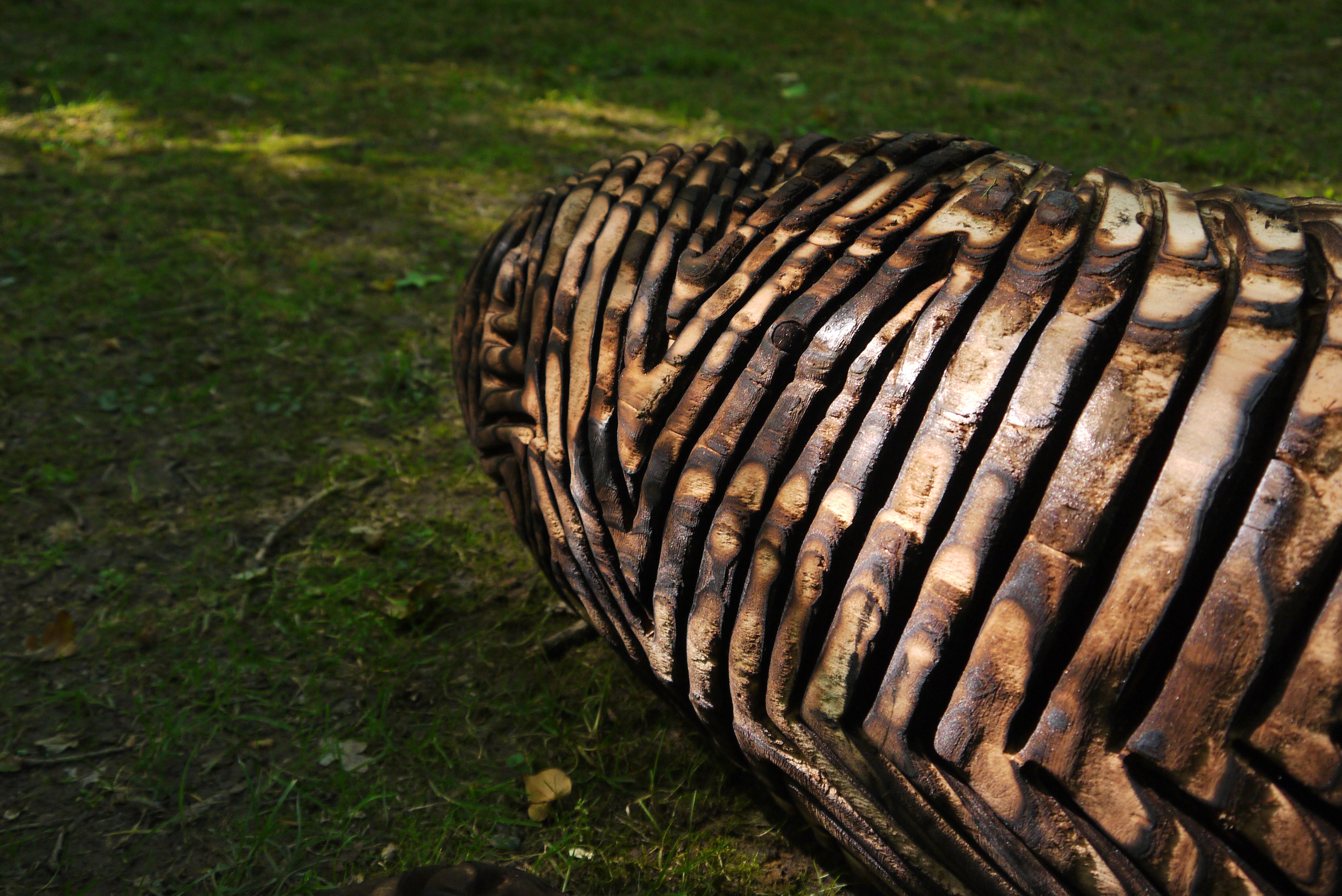 Detail of 'Patterns of Creation' Walter Bailey.jpg