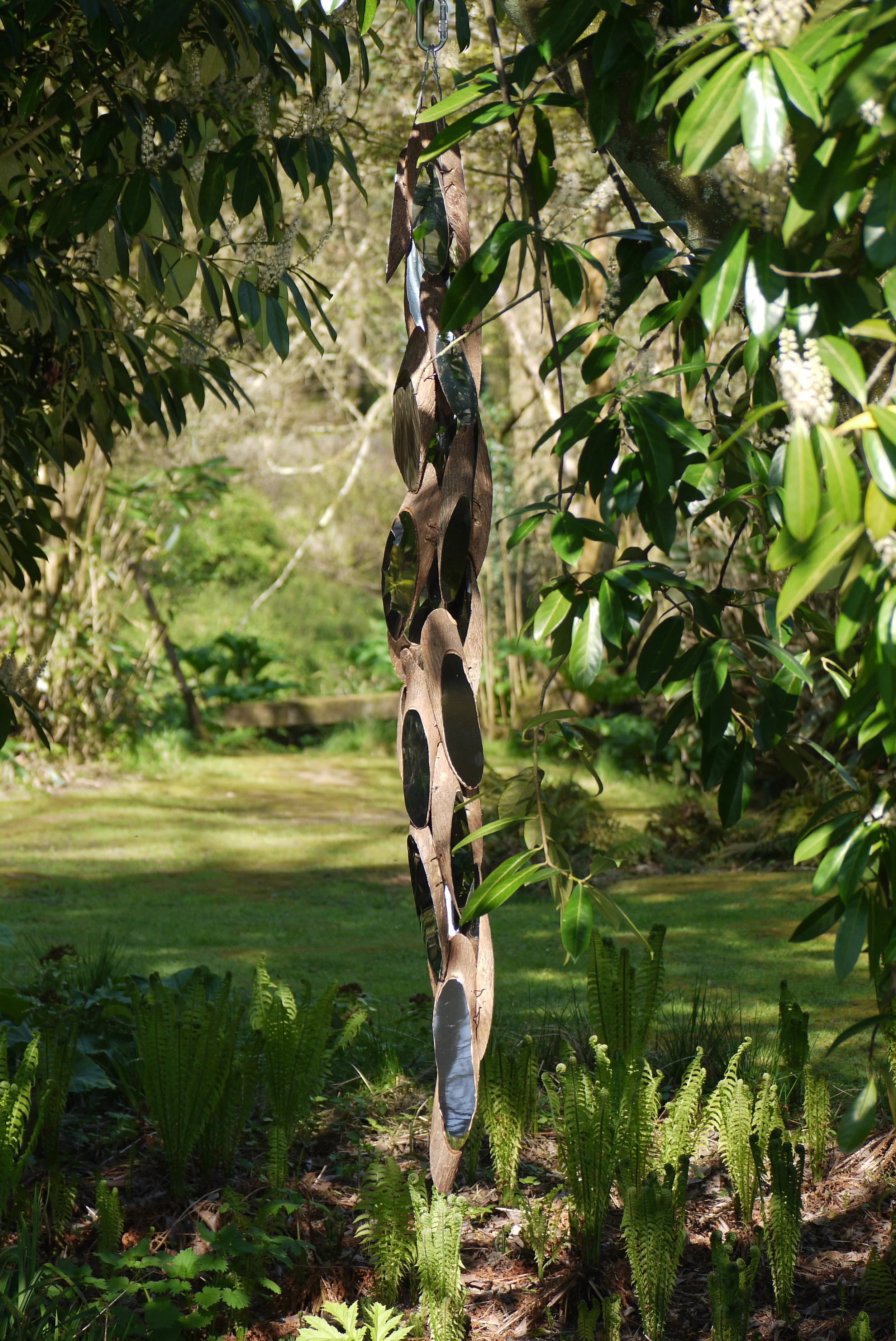 Catalpa Bean I &amp; II &amp; III