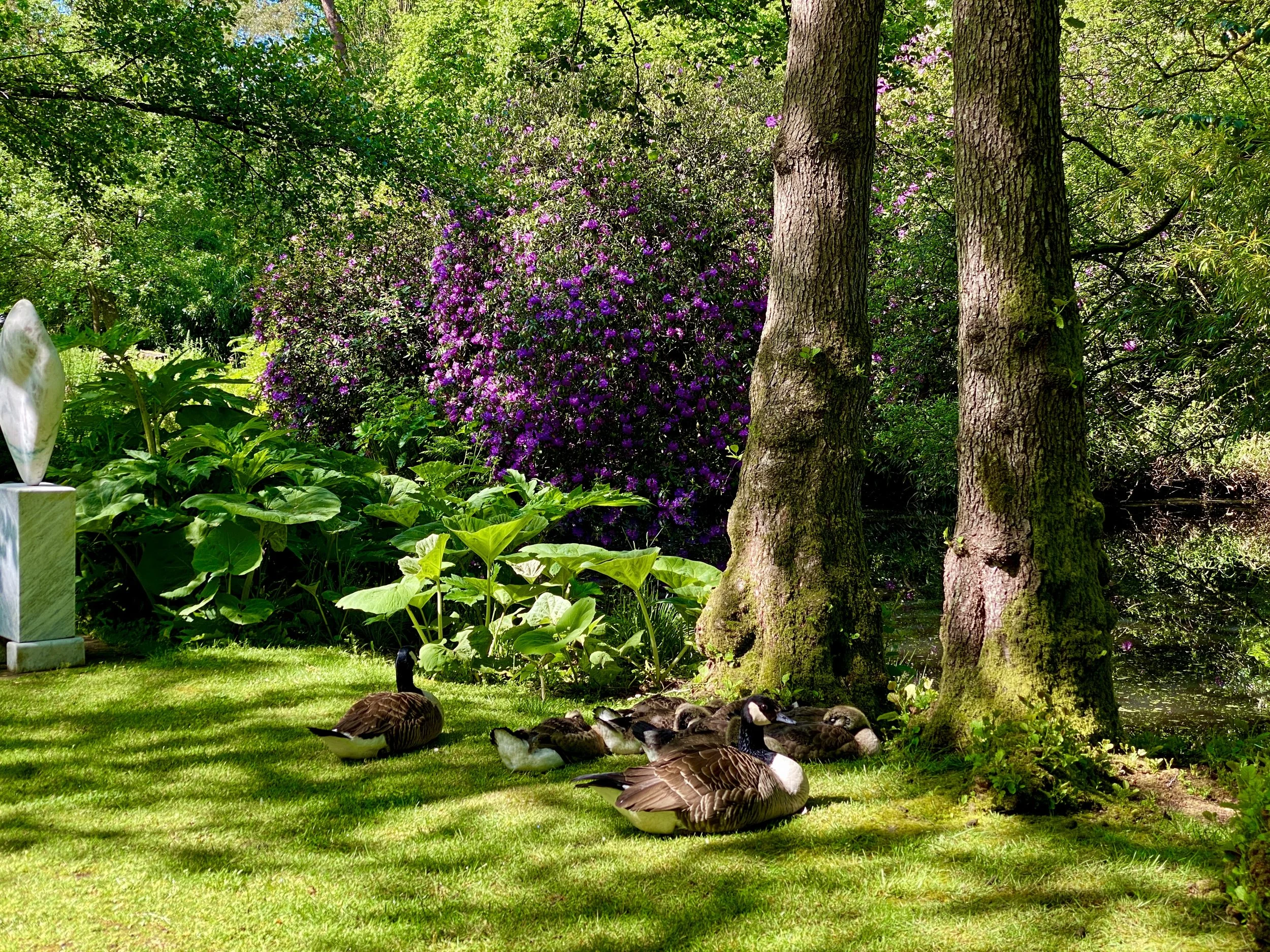 Two Adult Tickets - Digital Download Gift Voucher