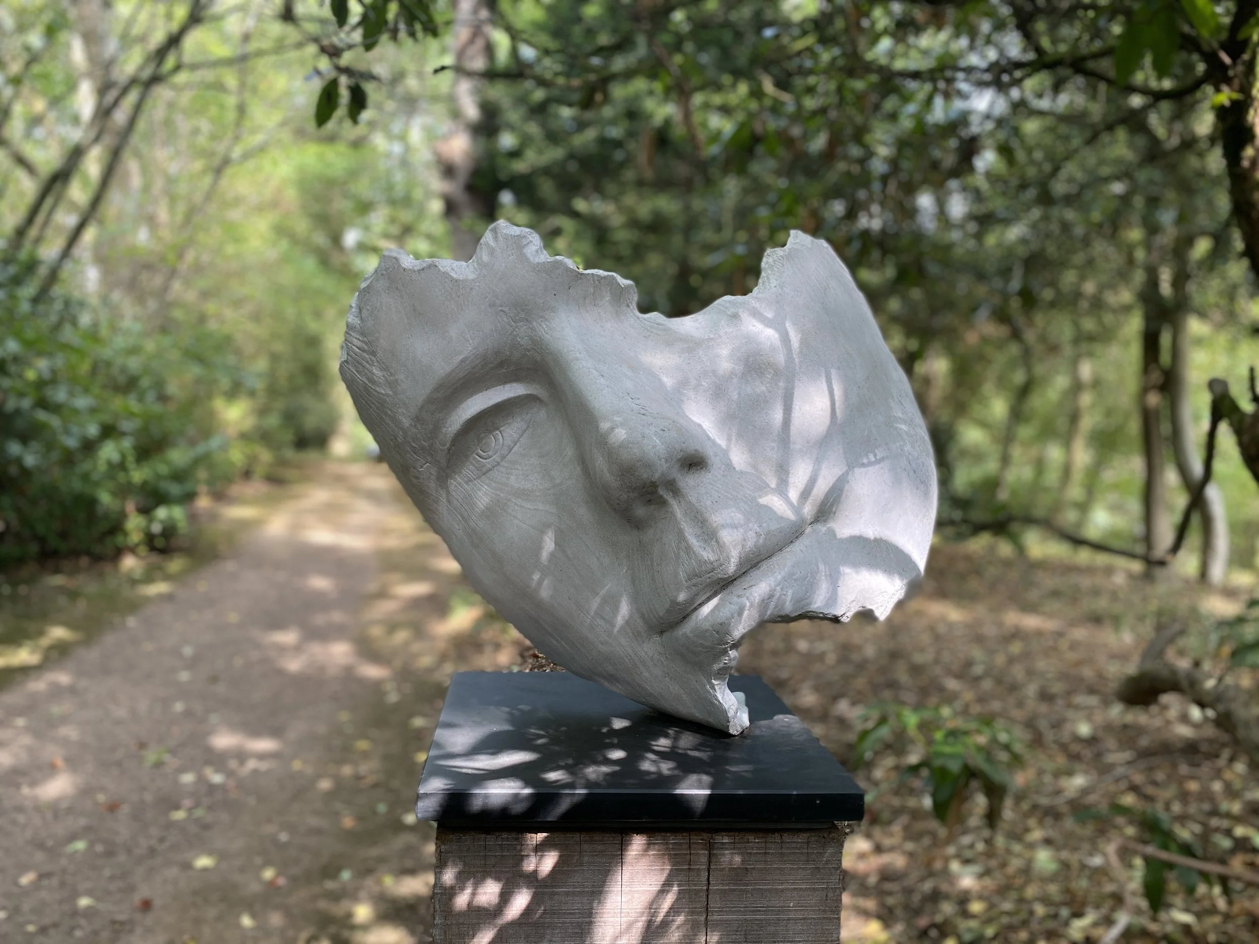 Concessionary Ticket - Digital Download Gift Voucher