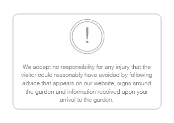  Disclaimer 