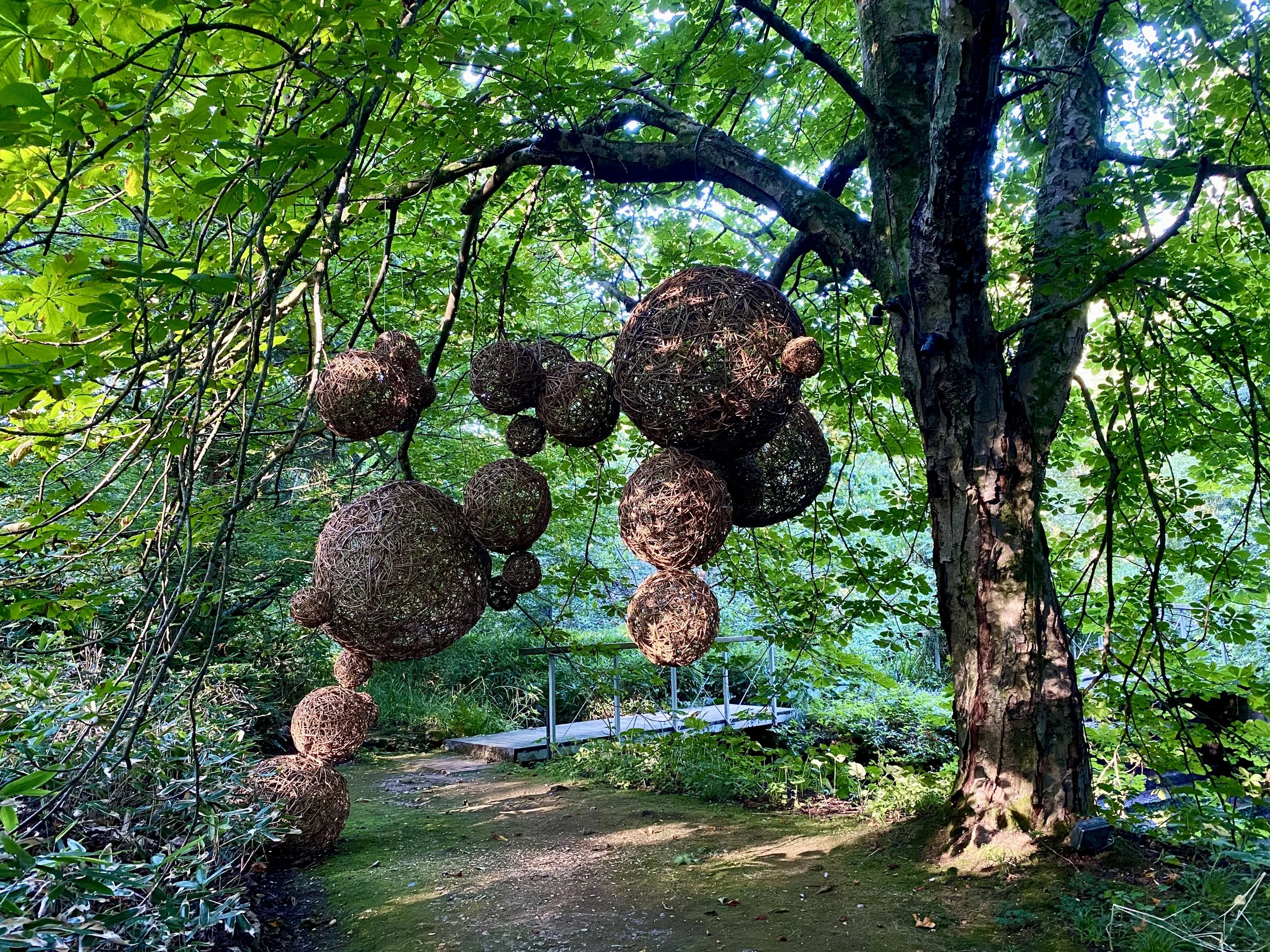 3 'Belonging' - shaddows.jpeg