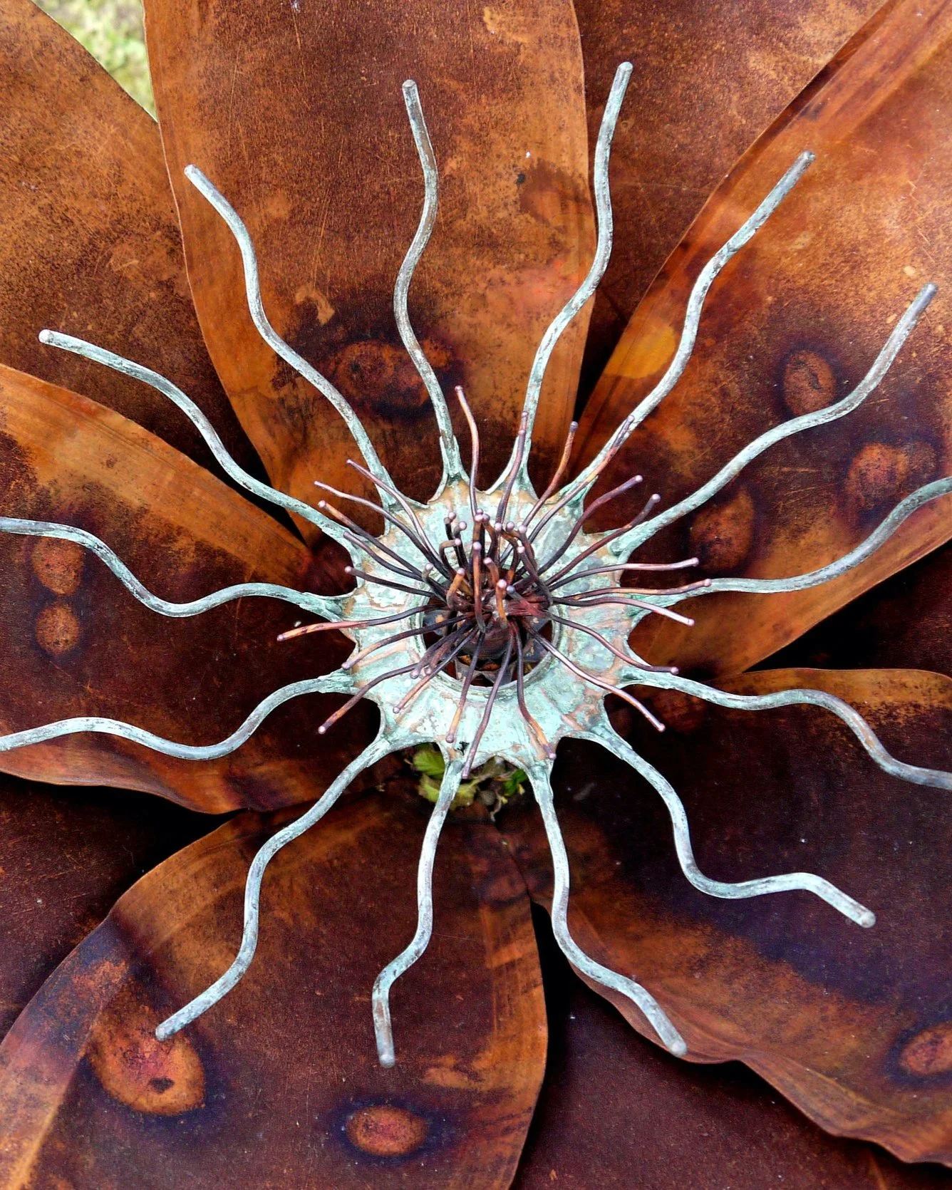 Peter+Clarke+%27Verdigris+Pod+Form+XV%27.jpg