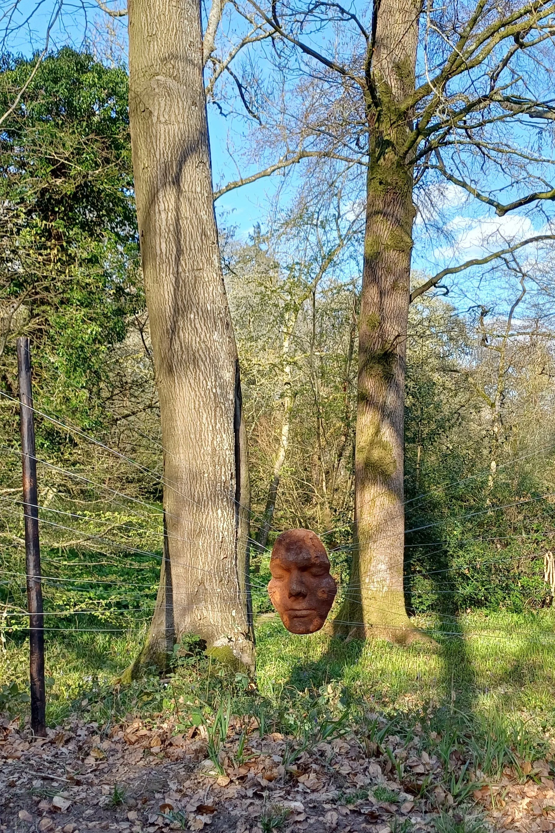 1000047097.jpg