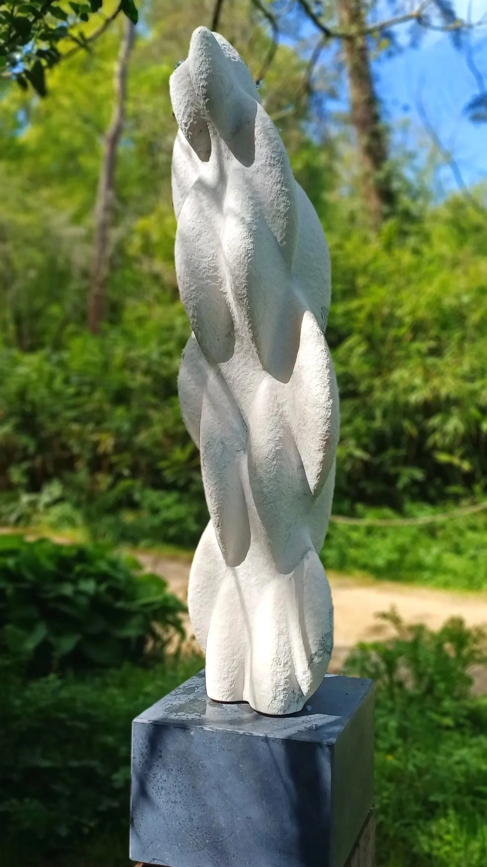 1000050191.jpg