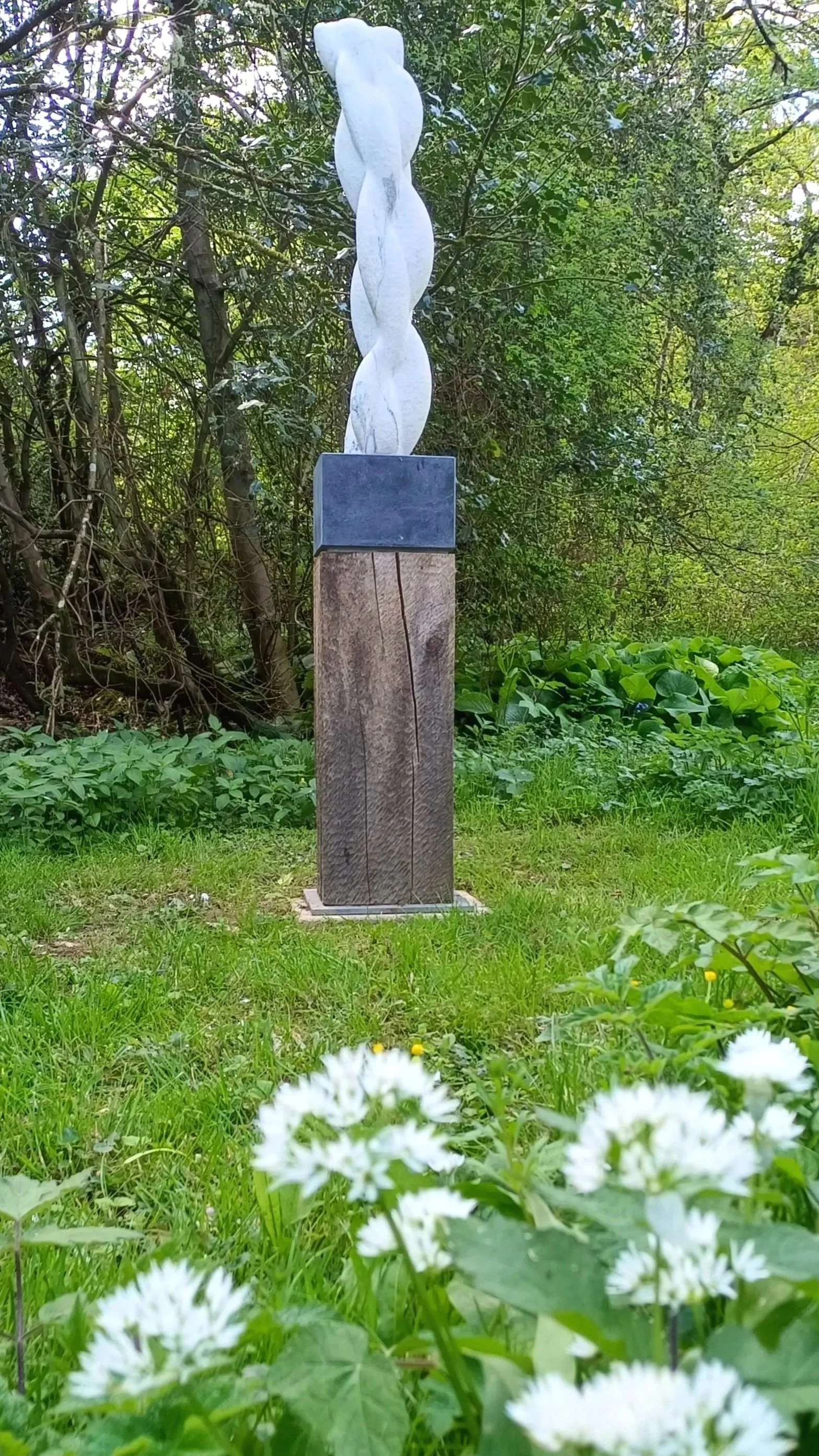 1000050198.jpg