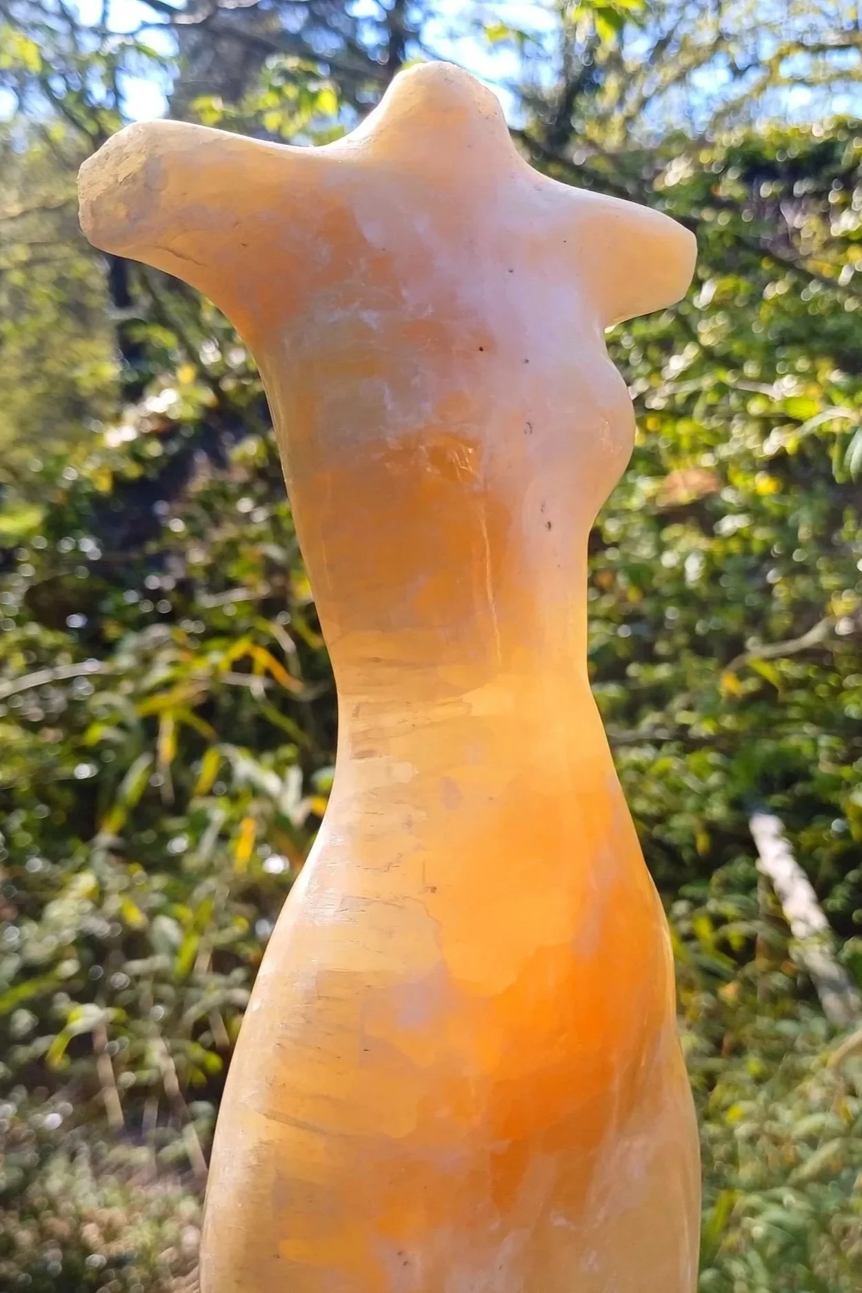 SUNRISE%2BDETAIL.jpg