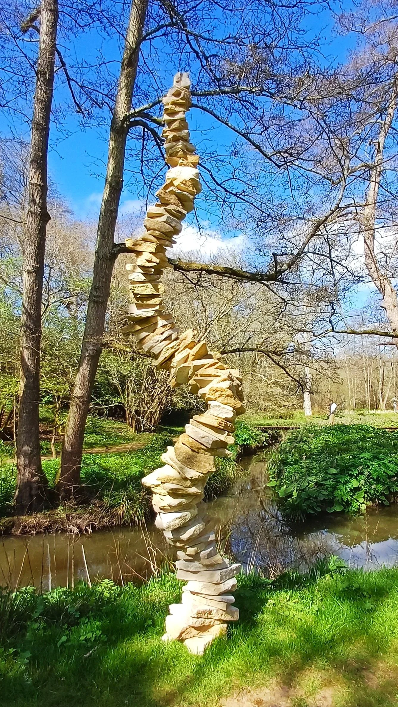 1000047022.jpg