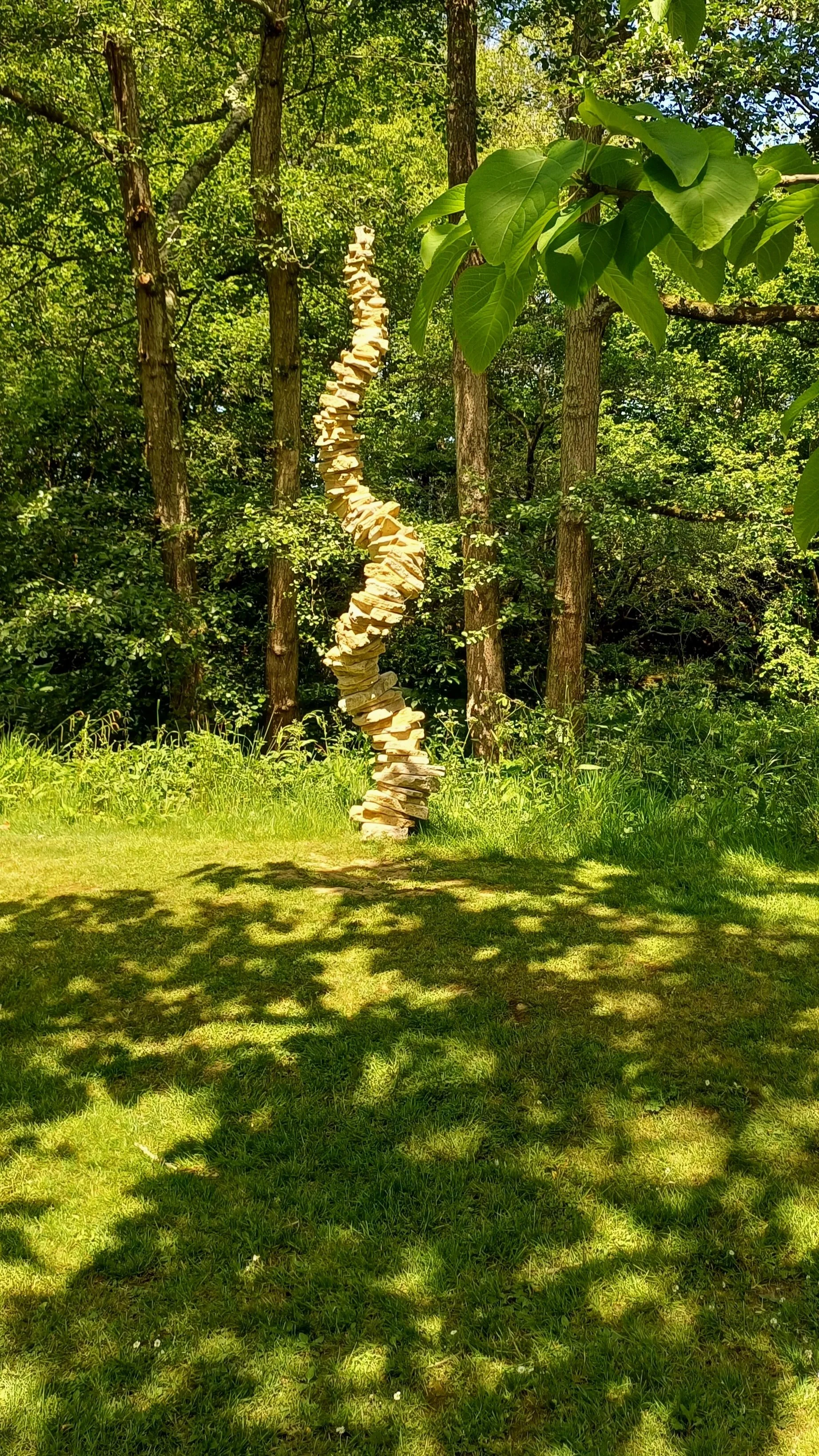1000053794.jpg