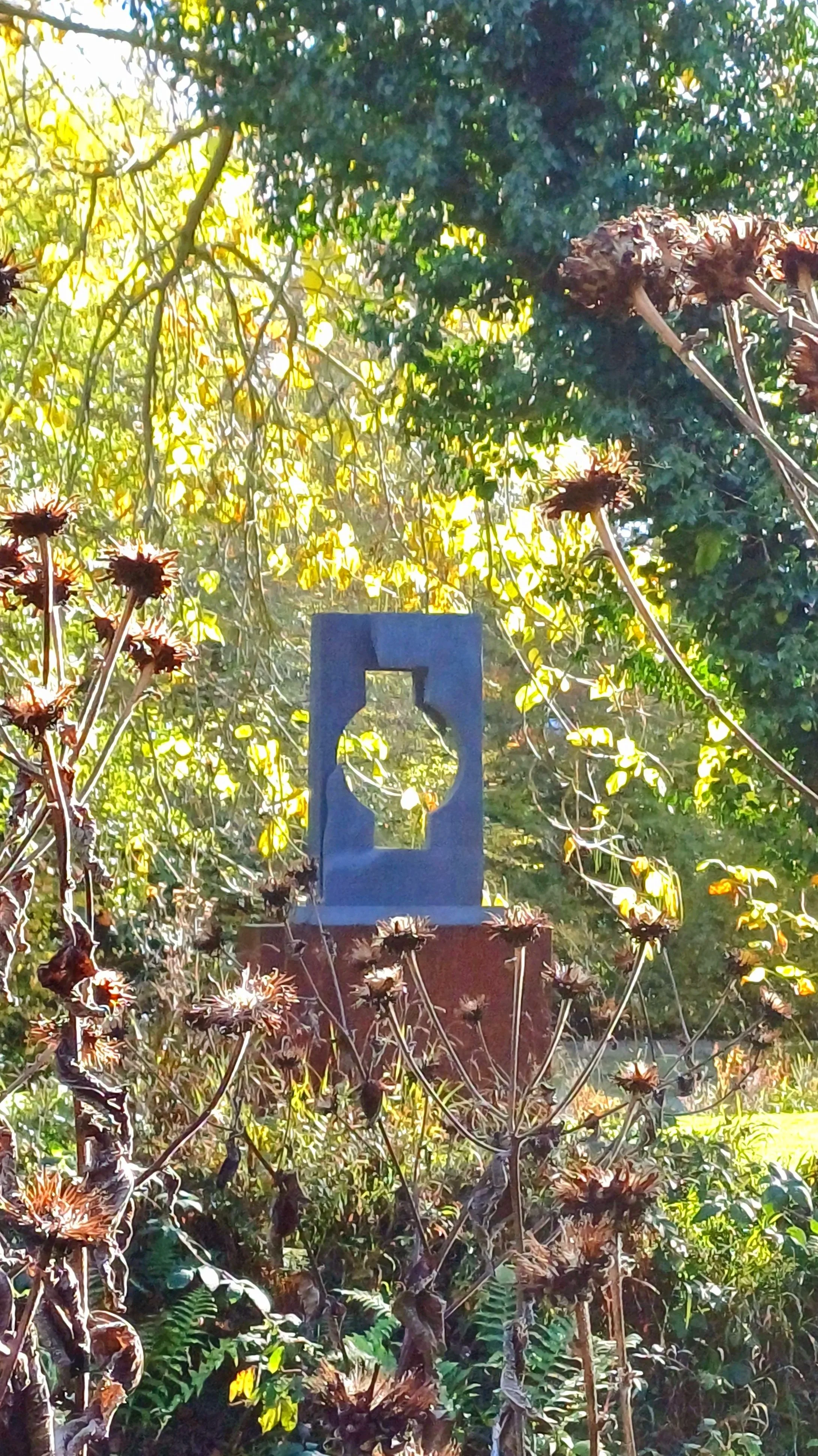 20251028_121205.jpg