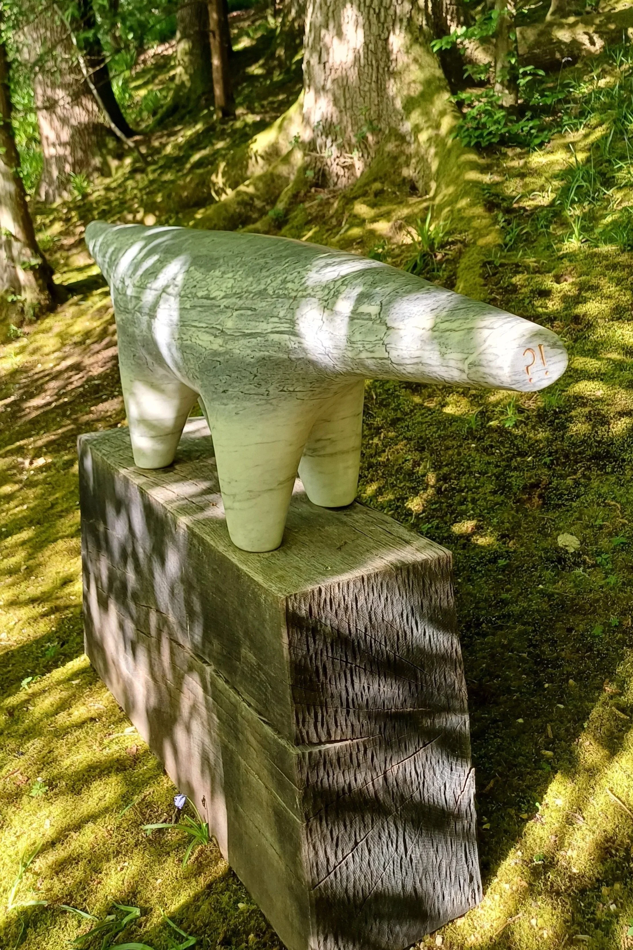 20250429_170133.jpg