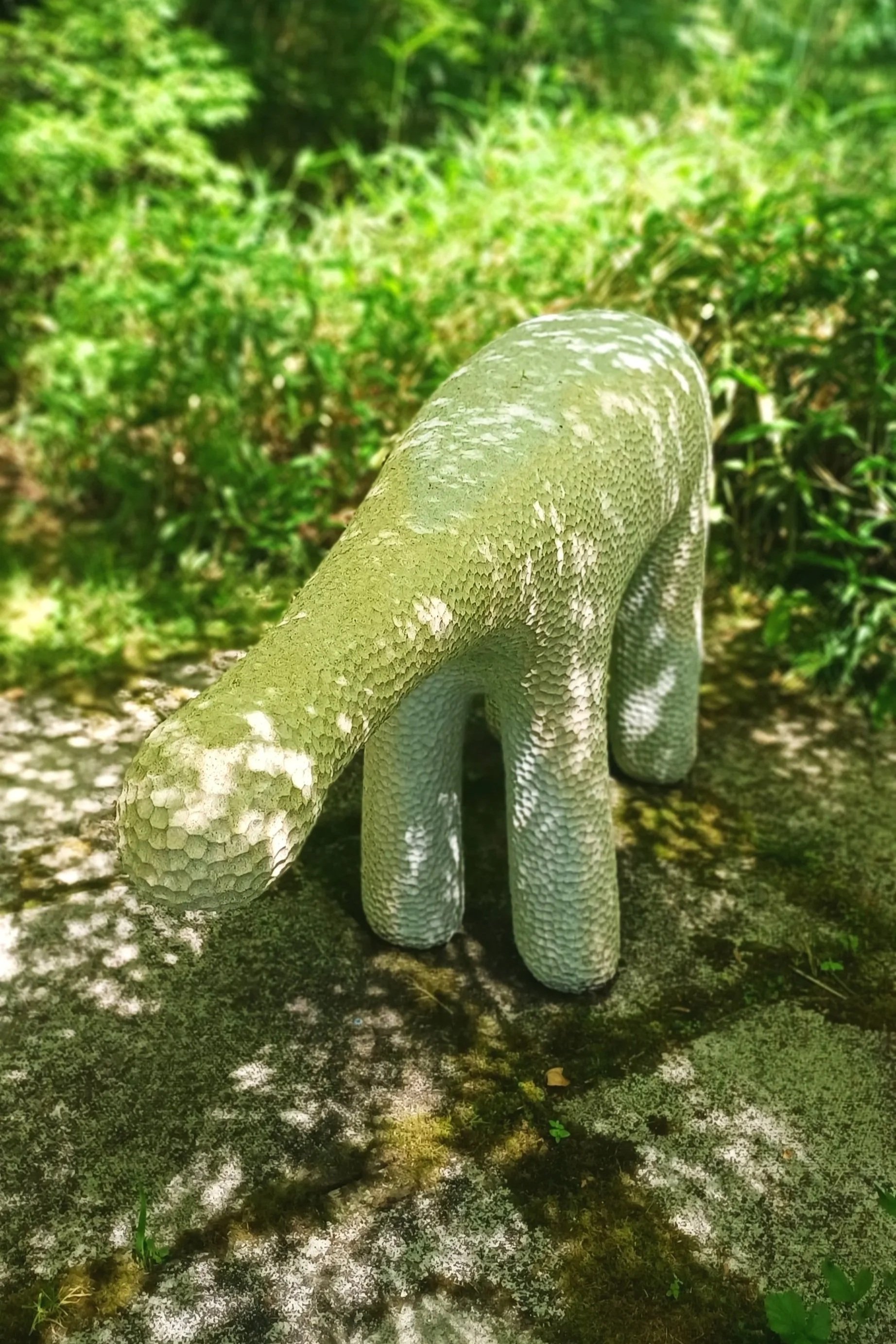 1000054100.jpg
