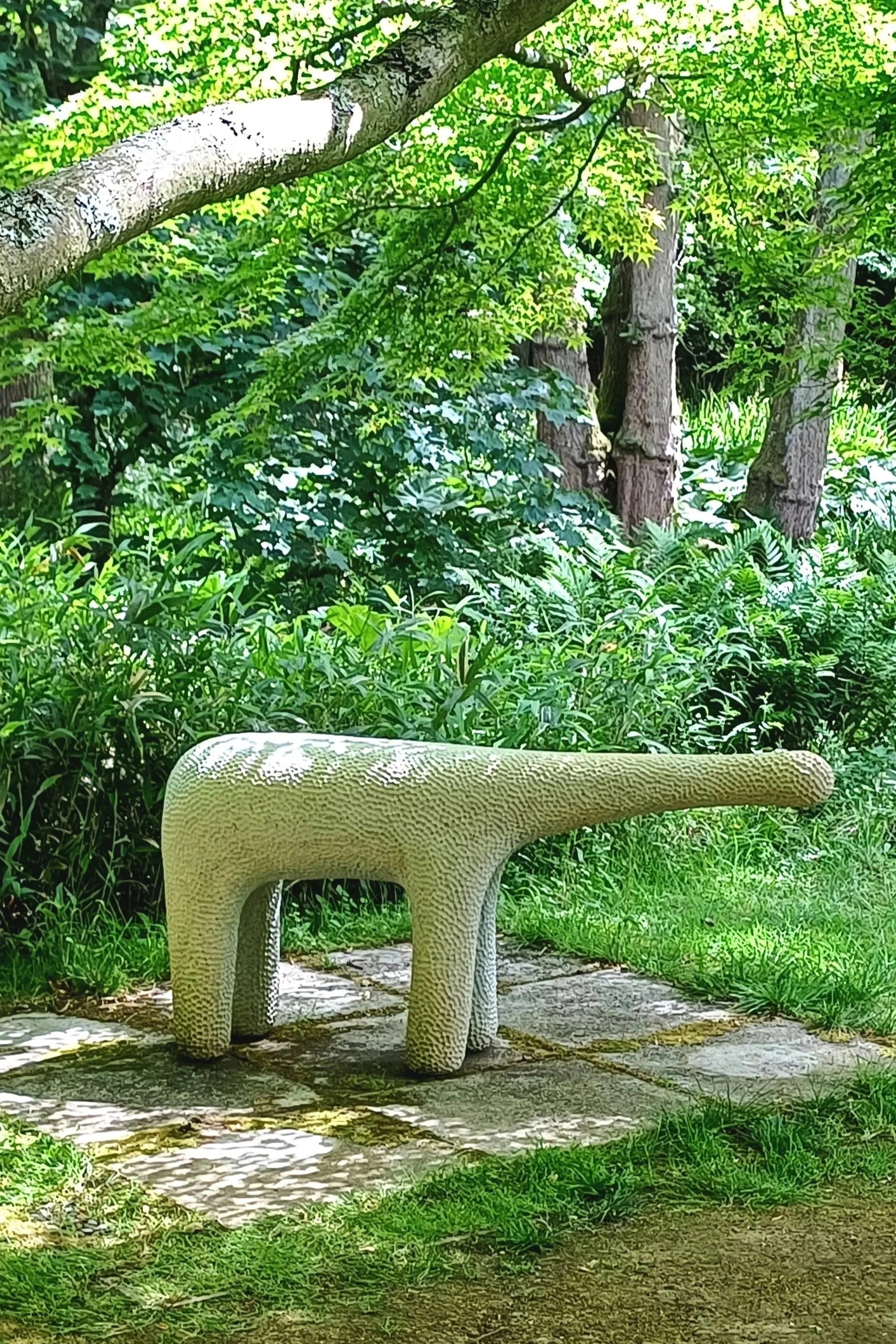 20250525_113807.jpg