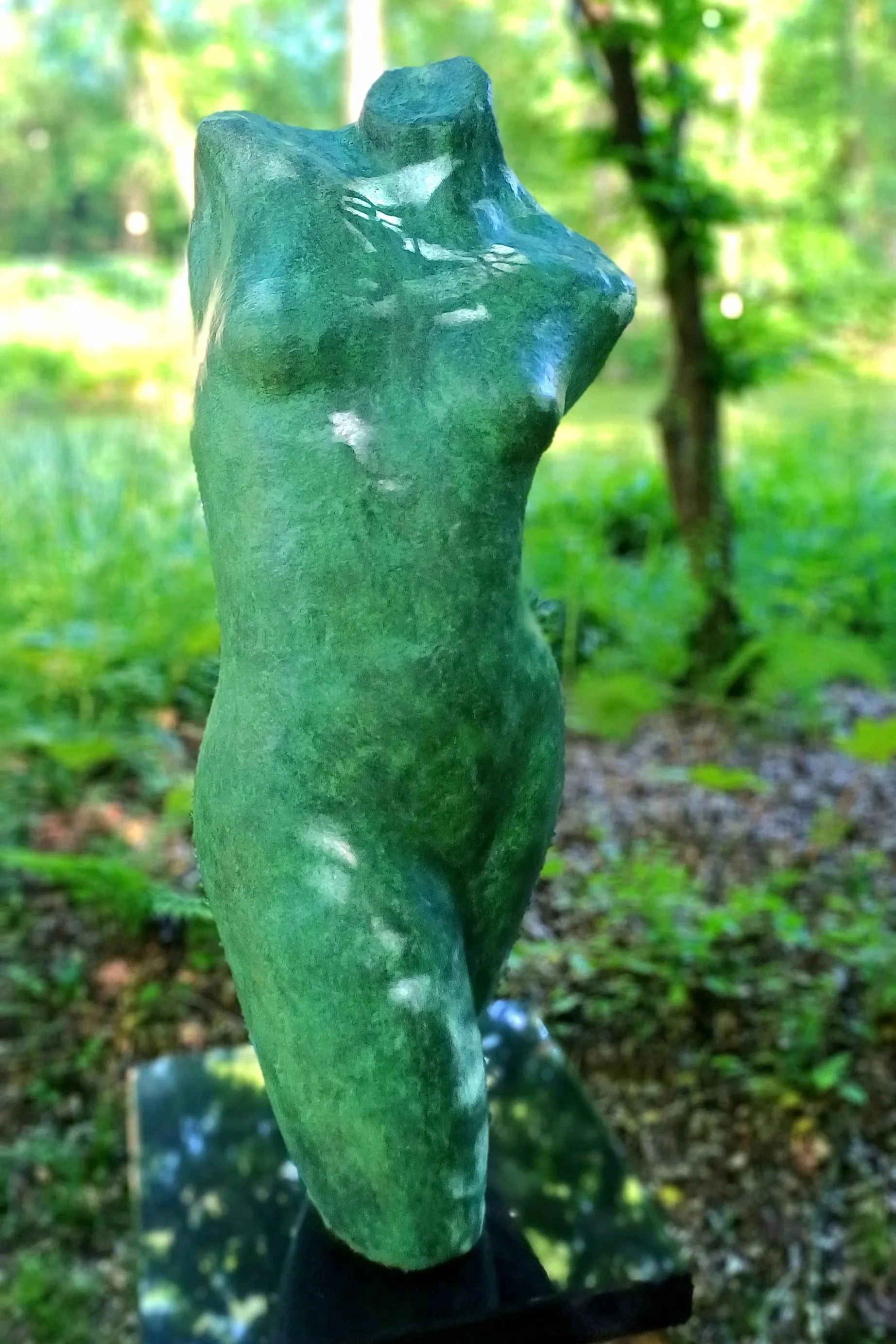 1000053436.jpg