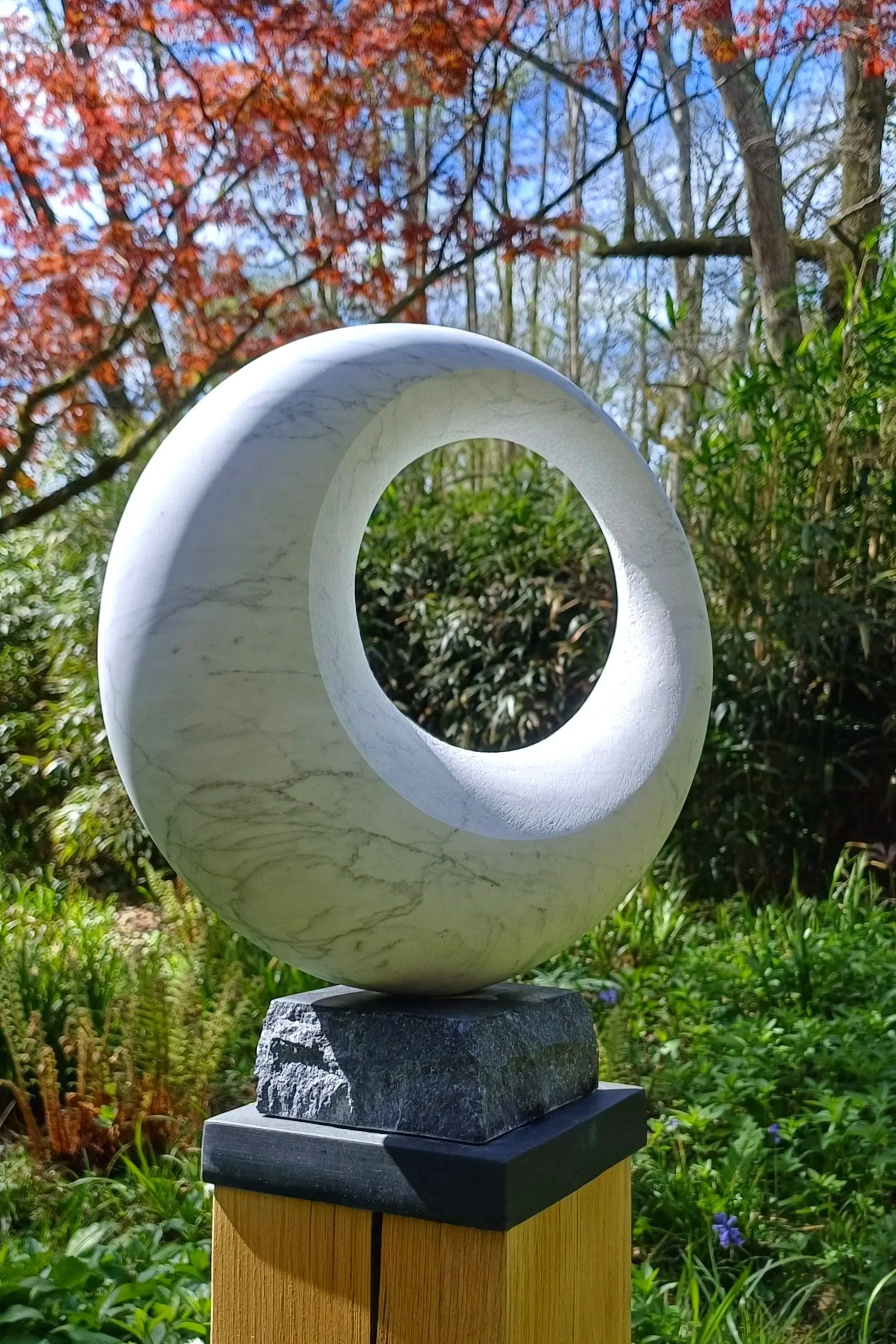 1000048494.jpg