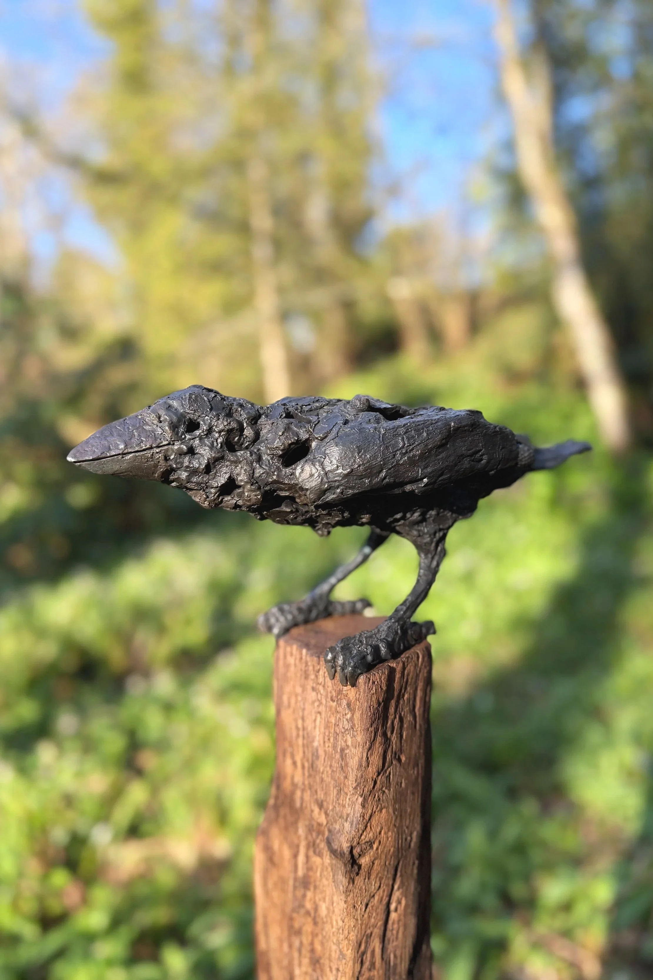 %27Corvid%27+Olivia+Ferrier.jpg