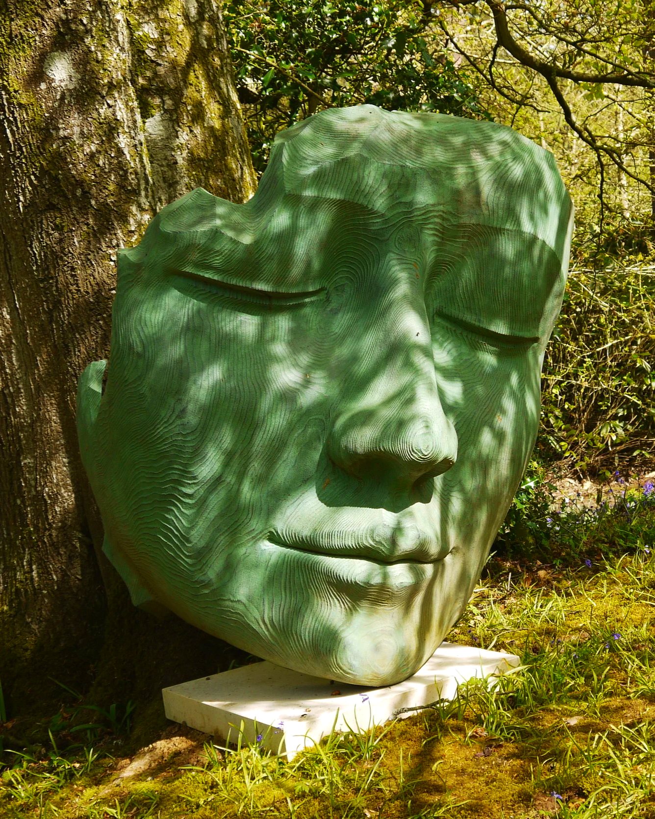 P1080412.png