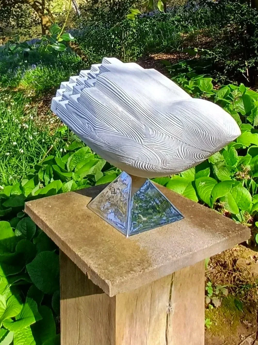 1000047606.jpg