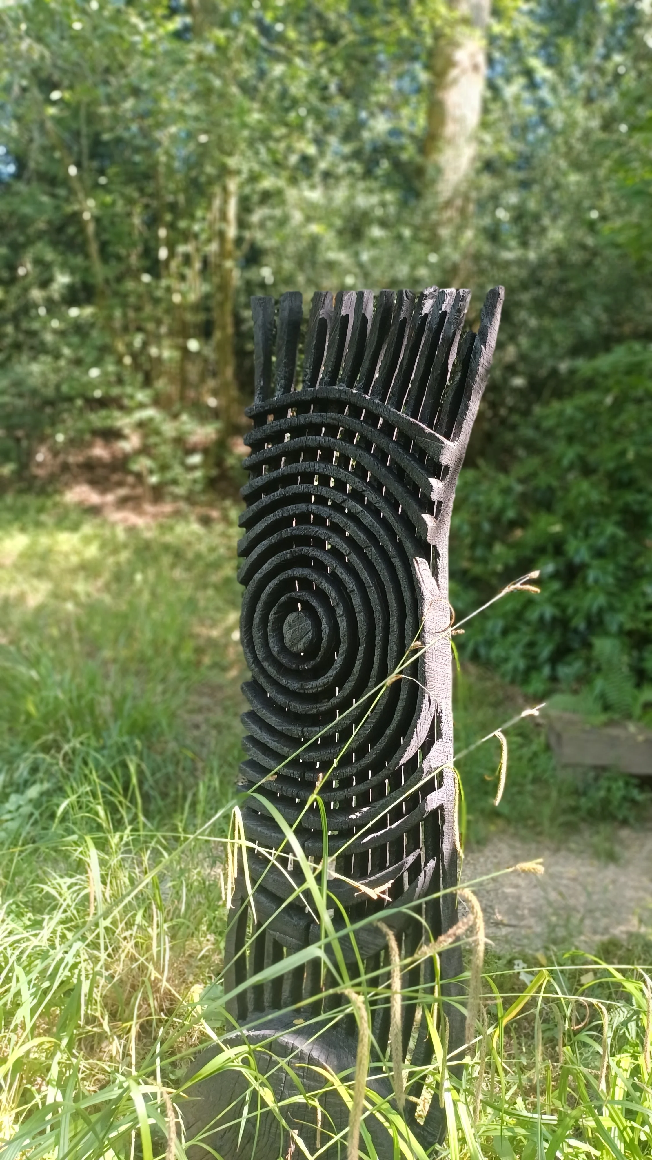 1000060192.jpg