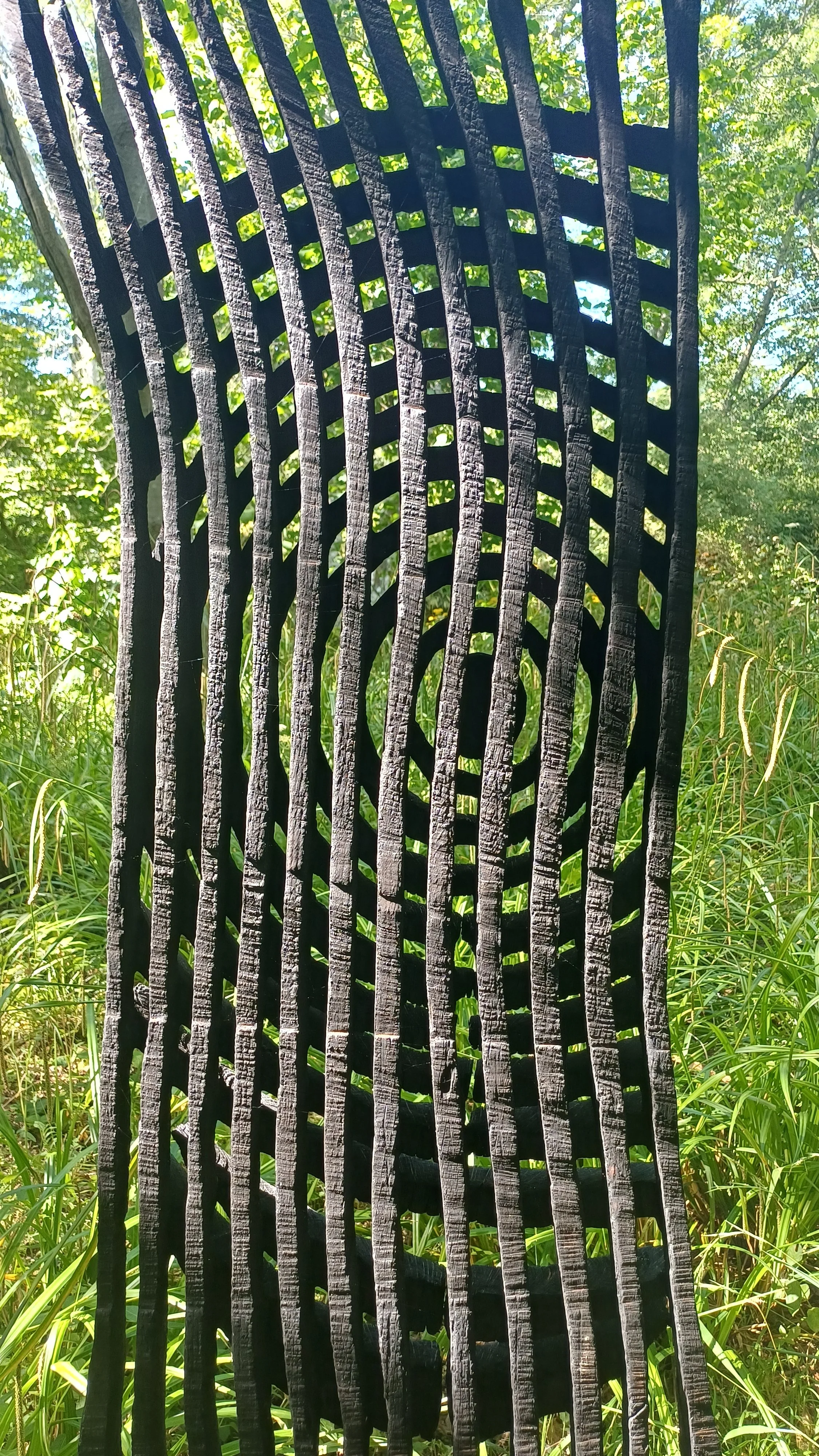 1000060191.jpg
