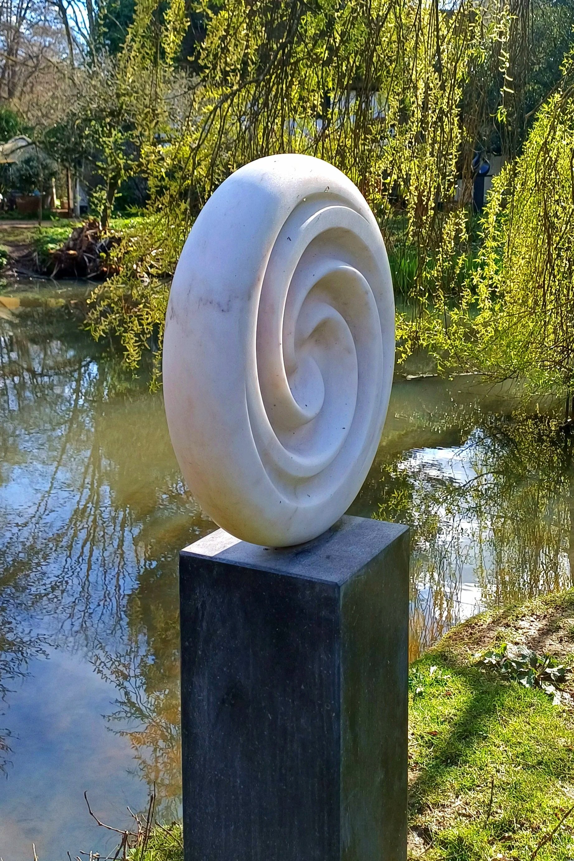 1000046564.jpg