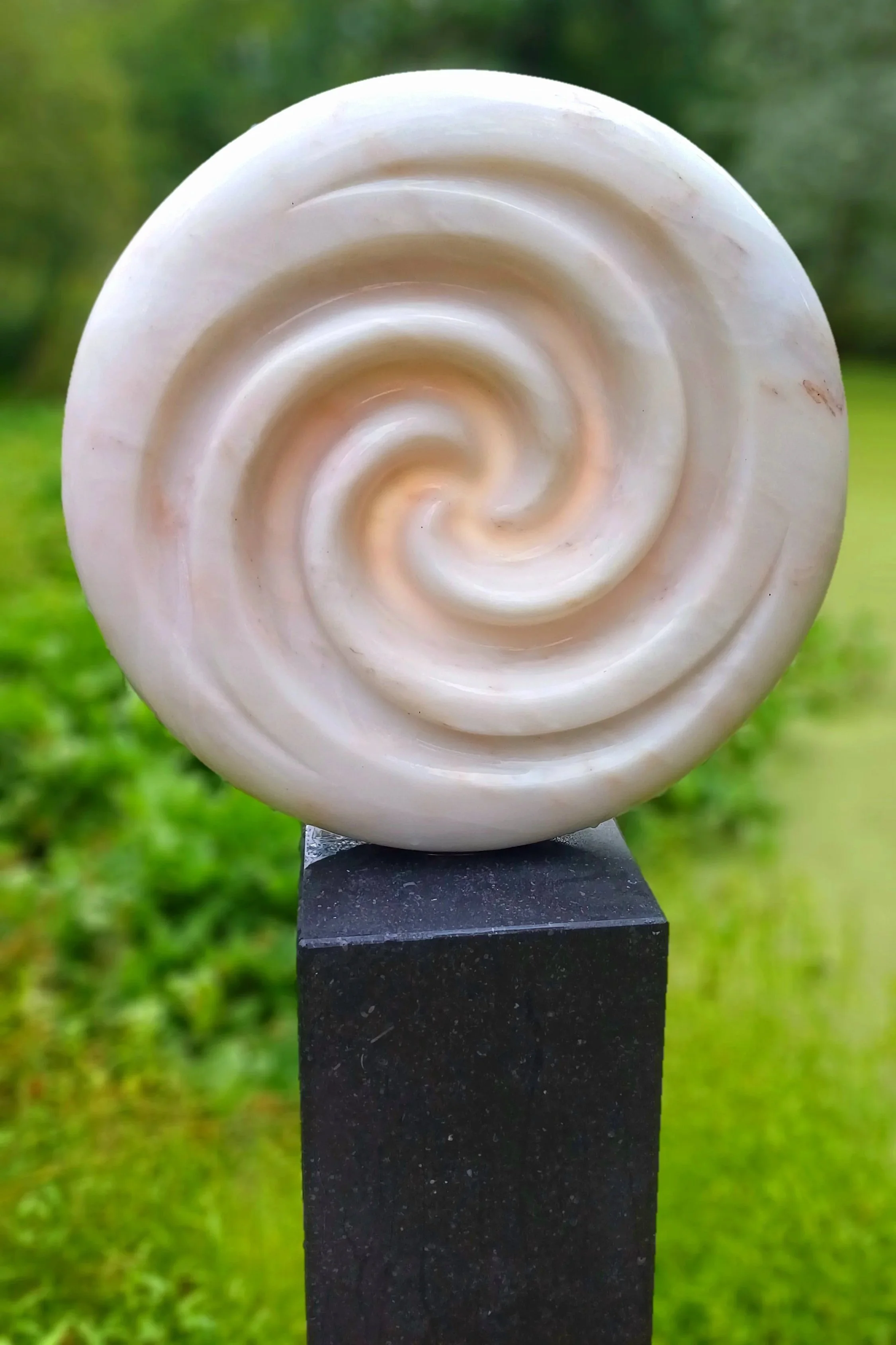1000061135.jpg