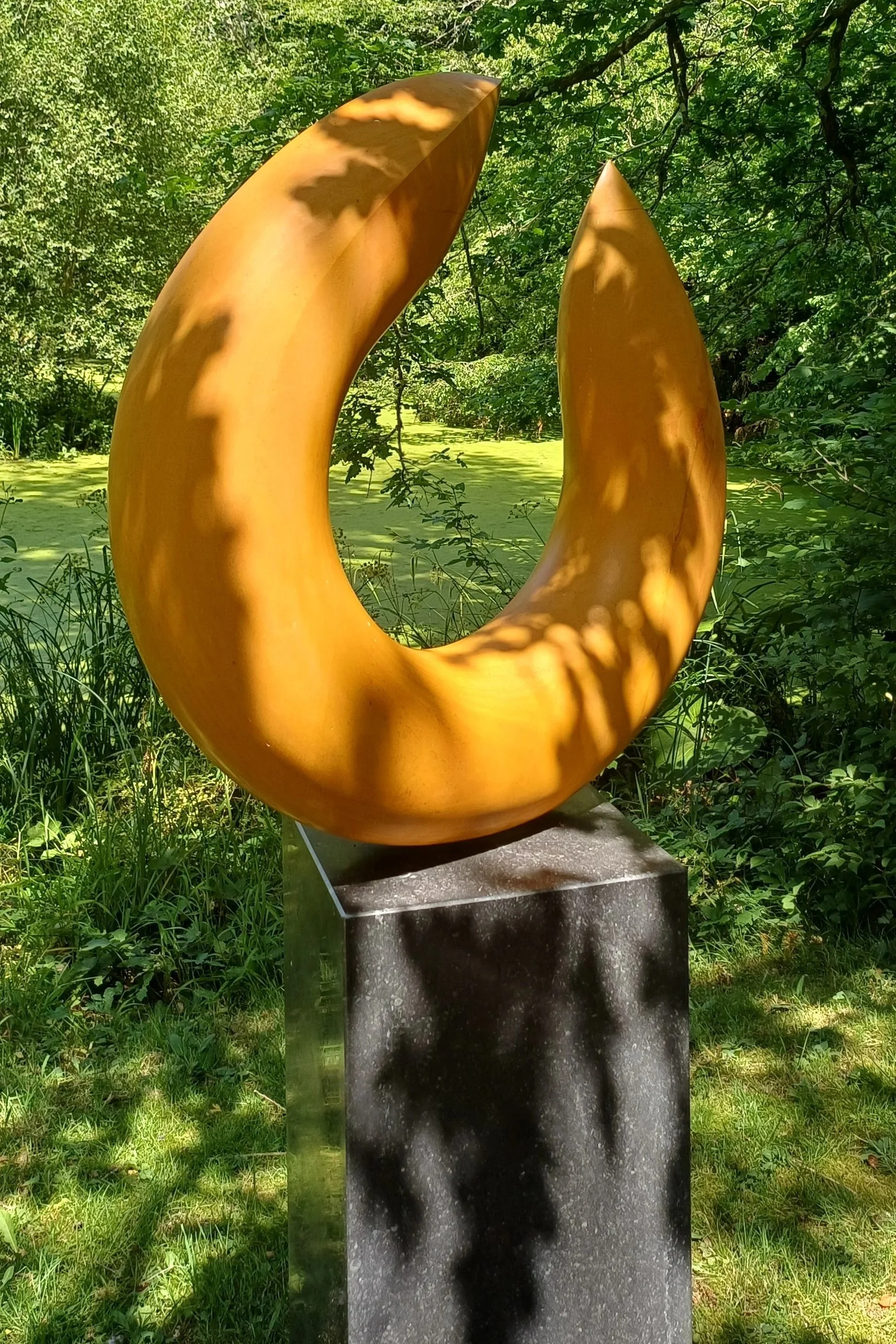 1000058125.jpg