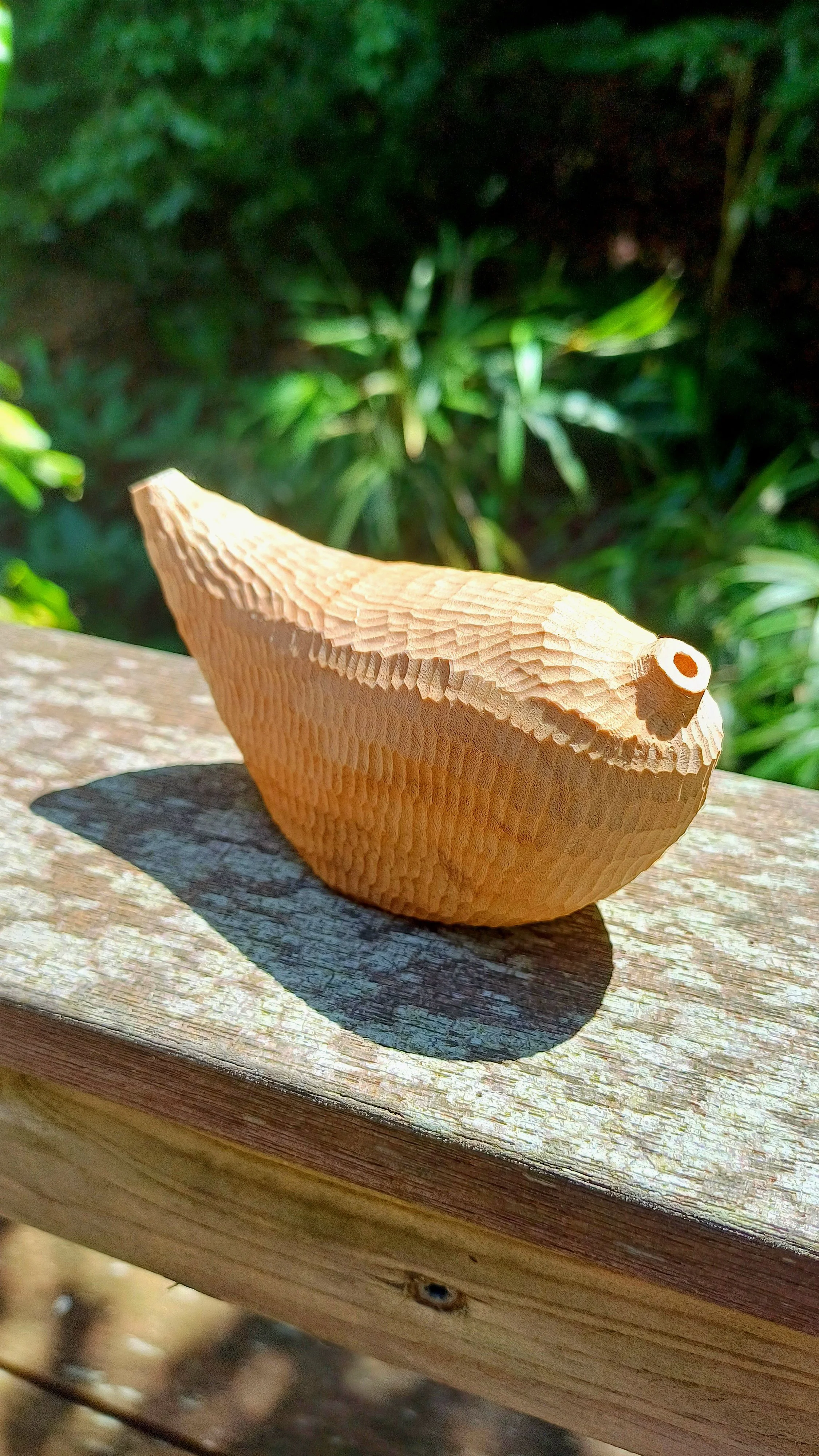 20250624_120420.jpg