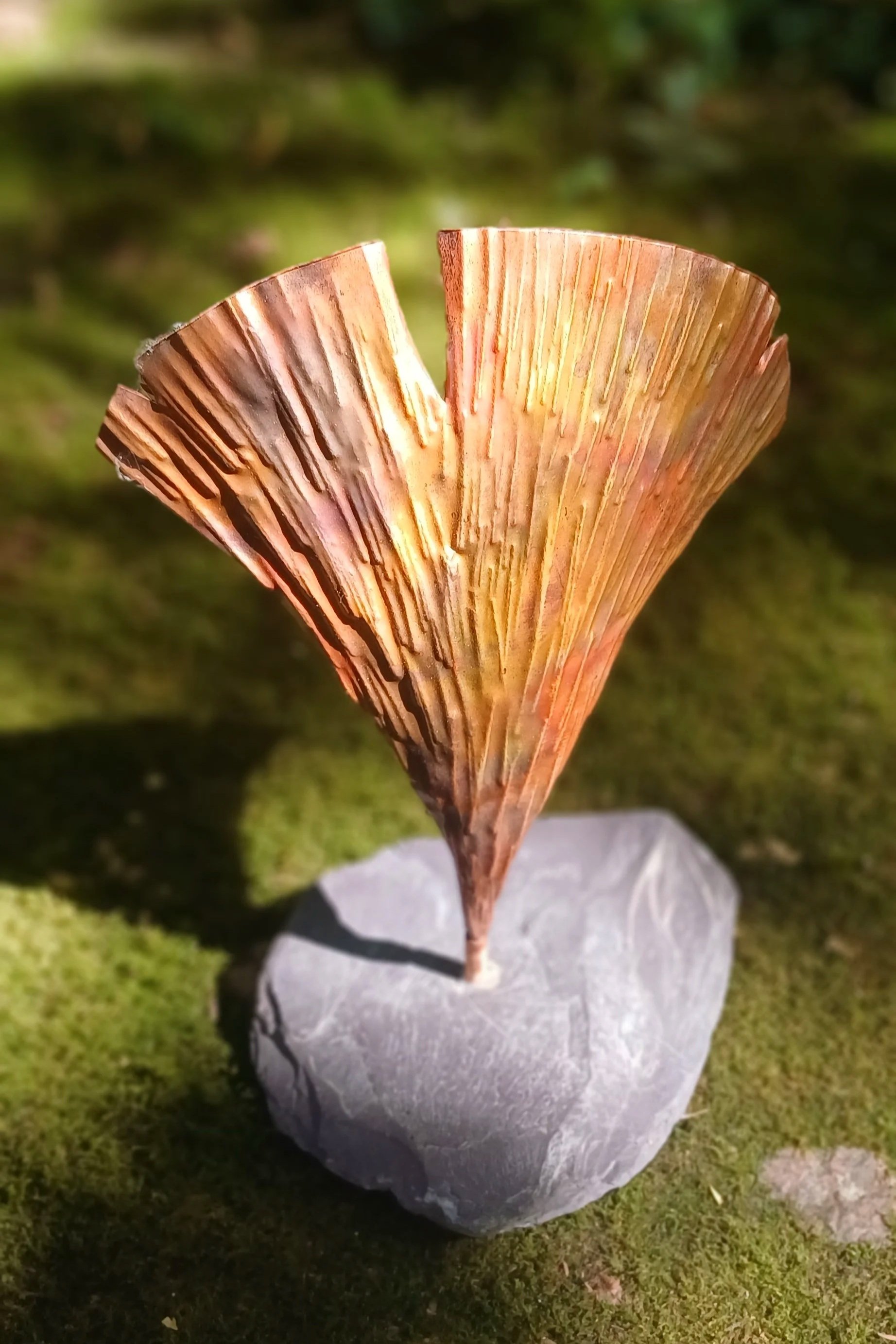 1000063160.jpg