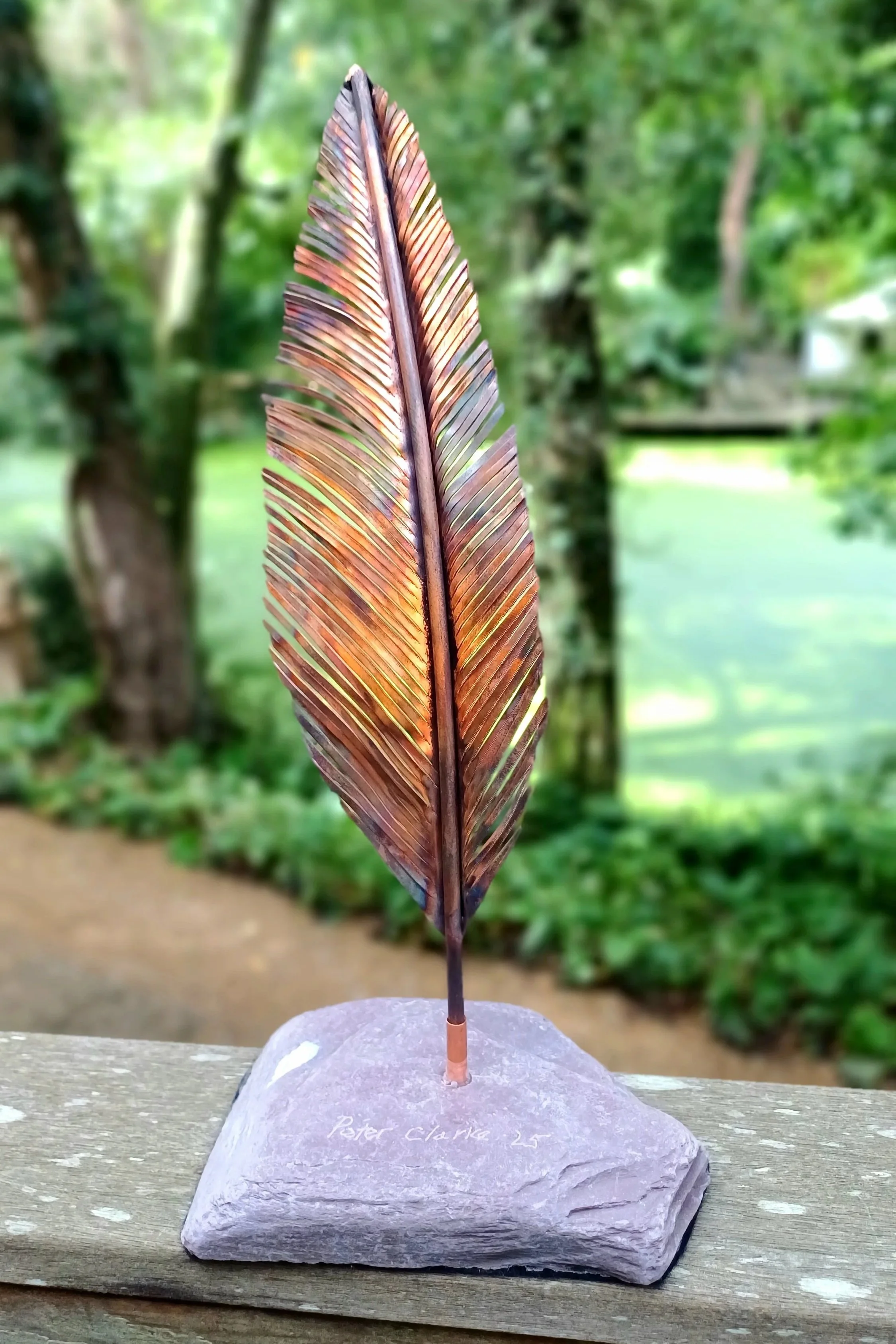 20250904_124324.jpg