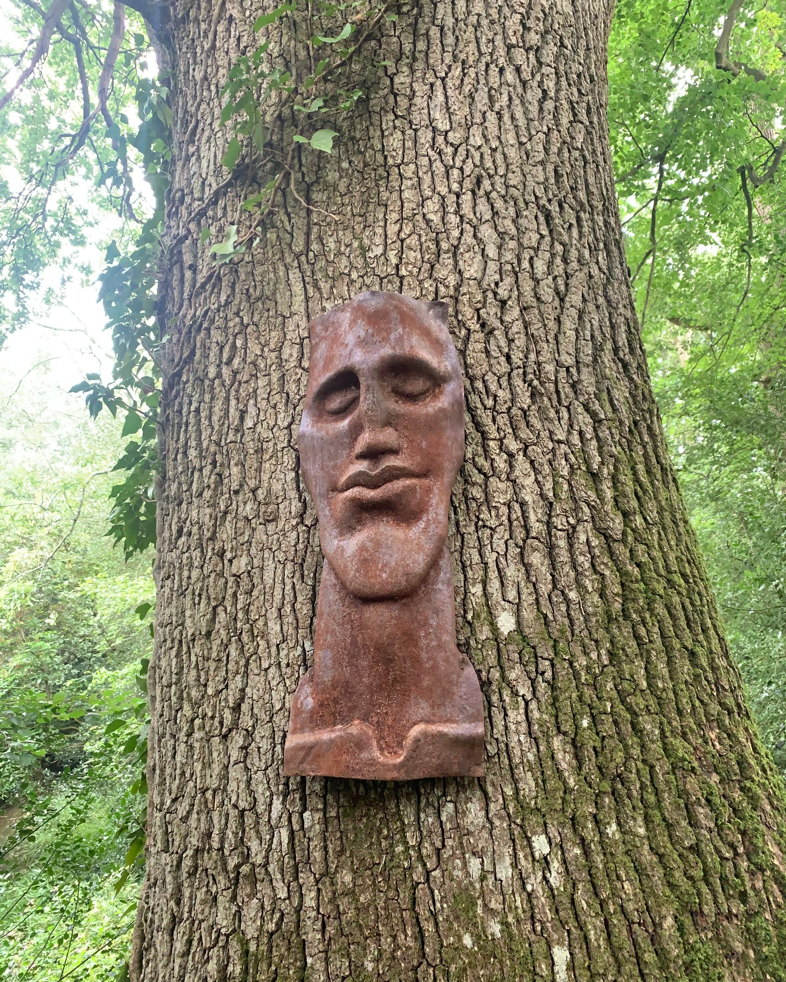 Face Fragment Iron