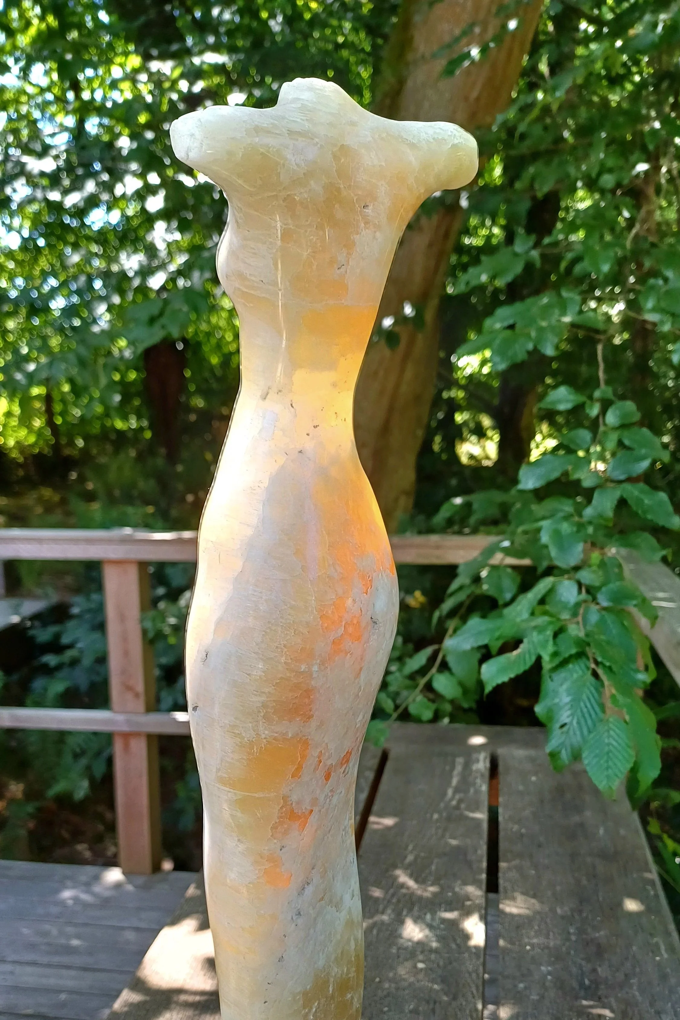 20250703_115131.jpg