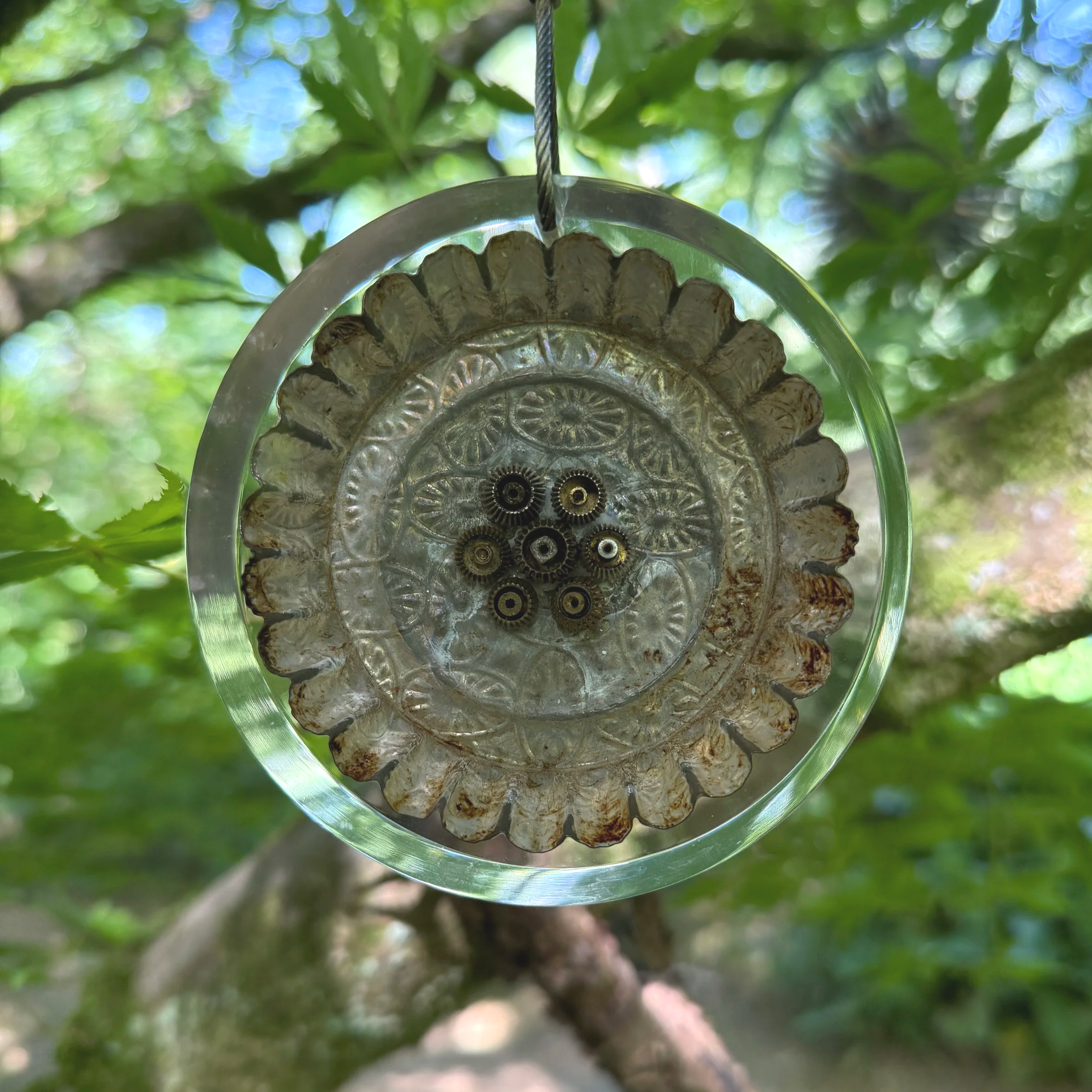 'Seed Pods' by Sophie Marsham