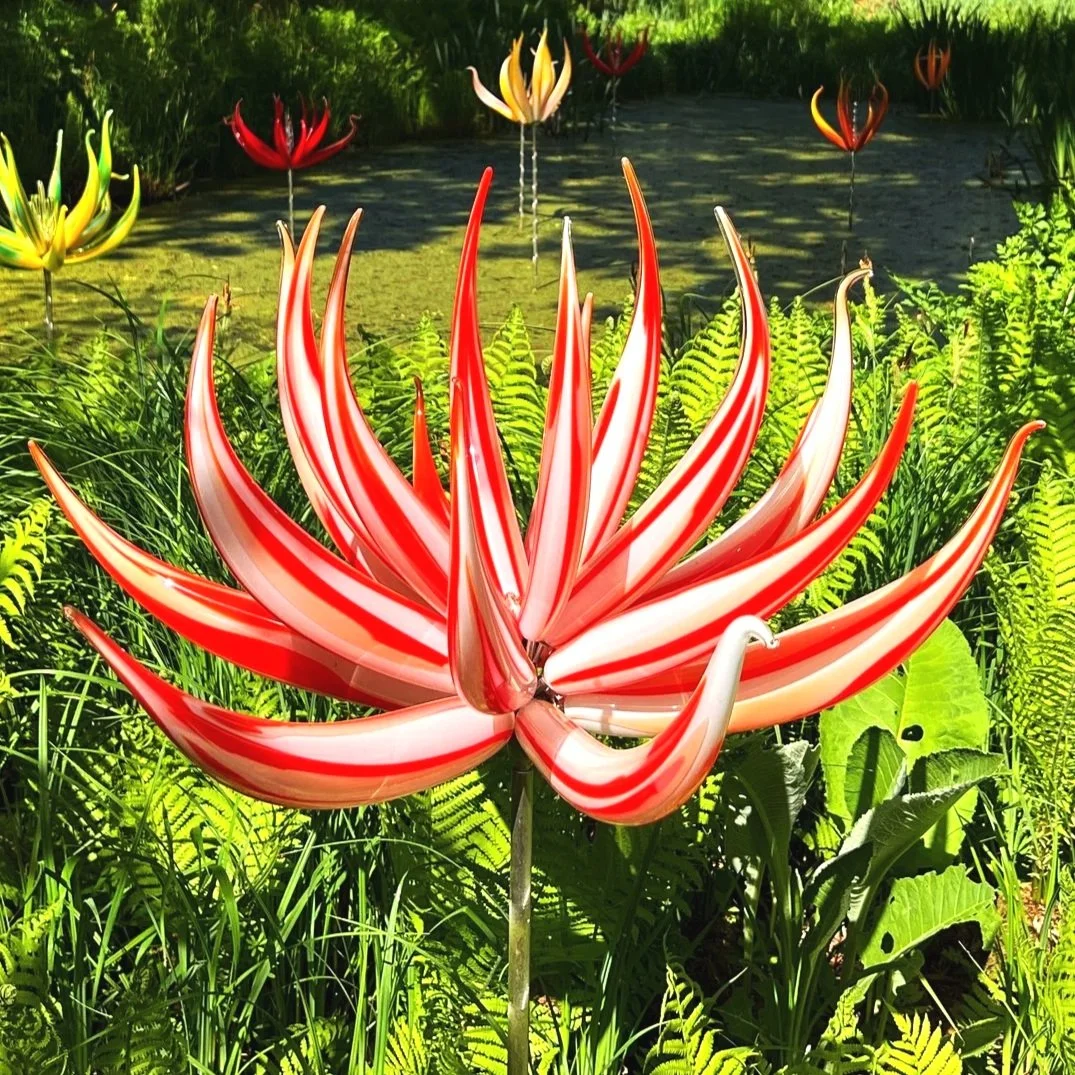 'In Conversation with....Neil Wilkin' - Saturday 21st February 2026