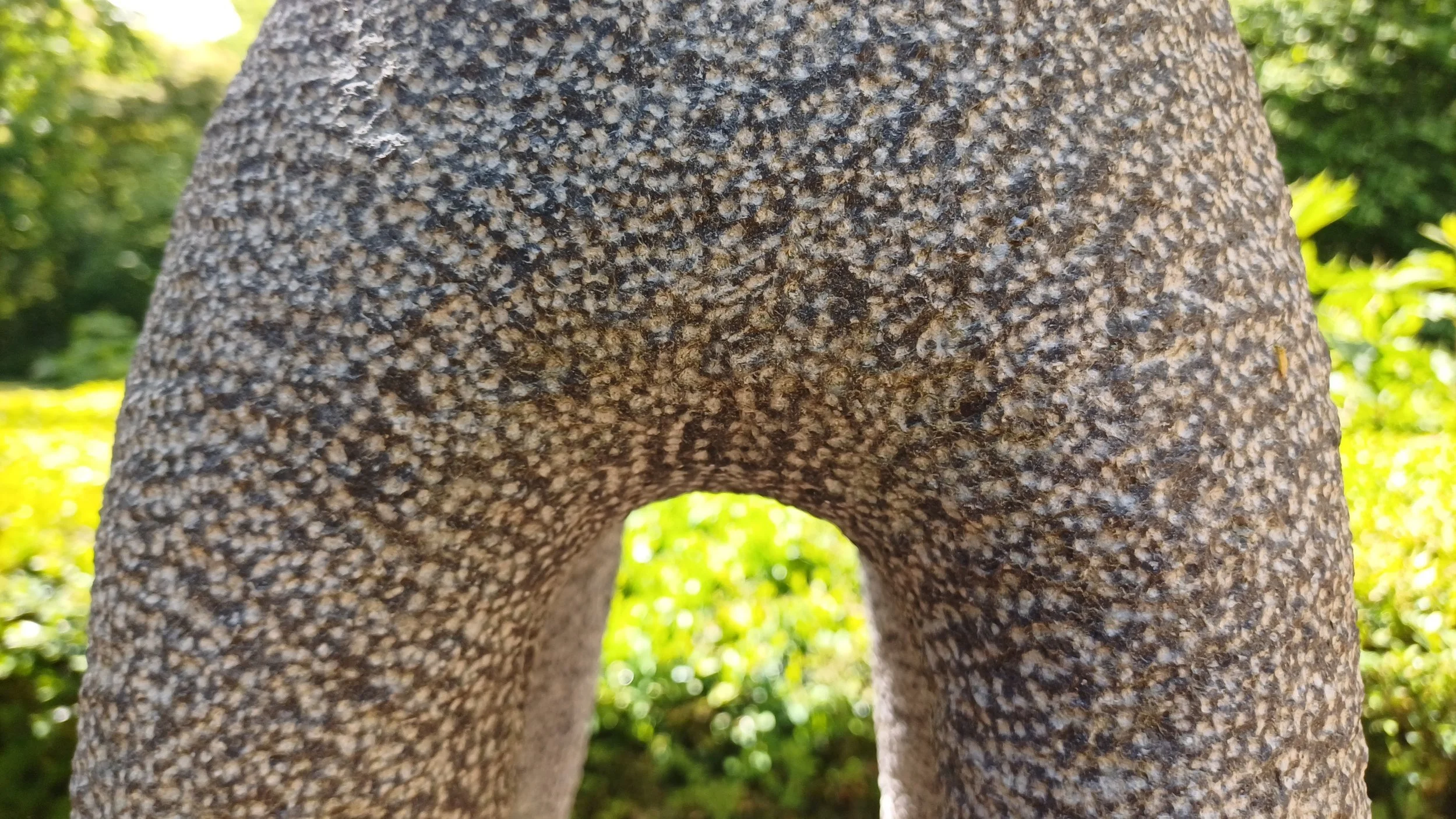 20250525_111949.jpg