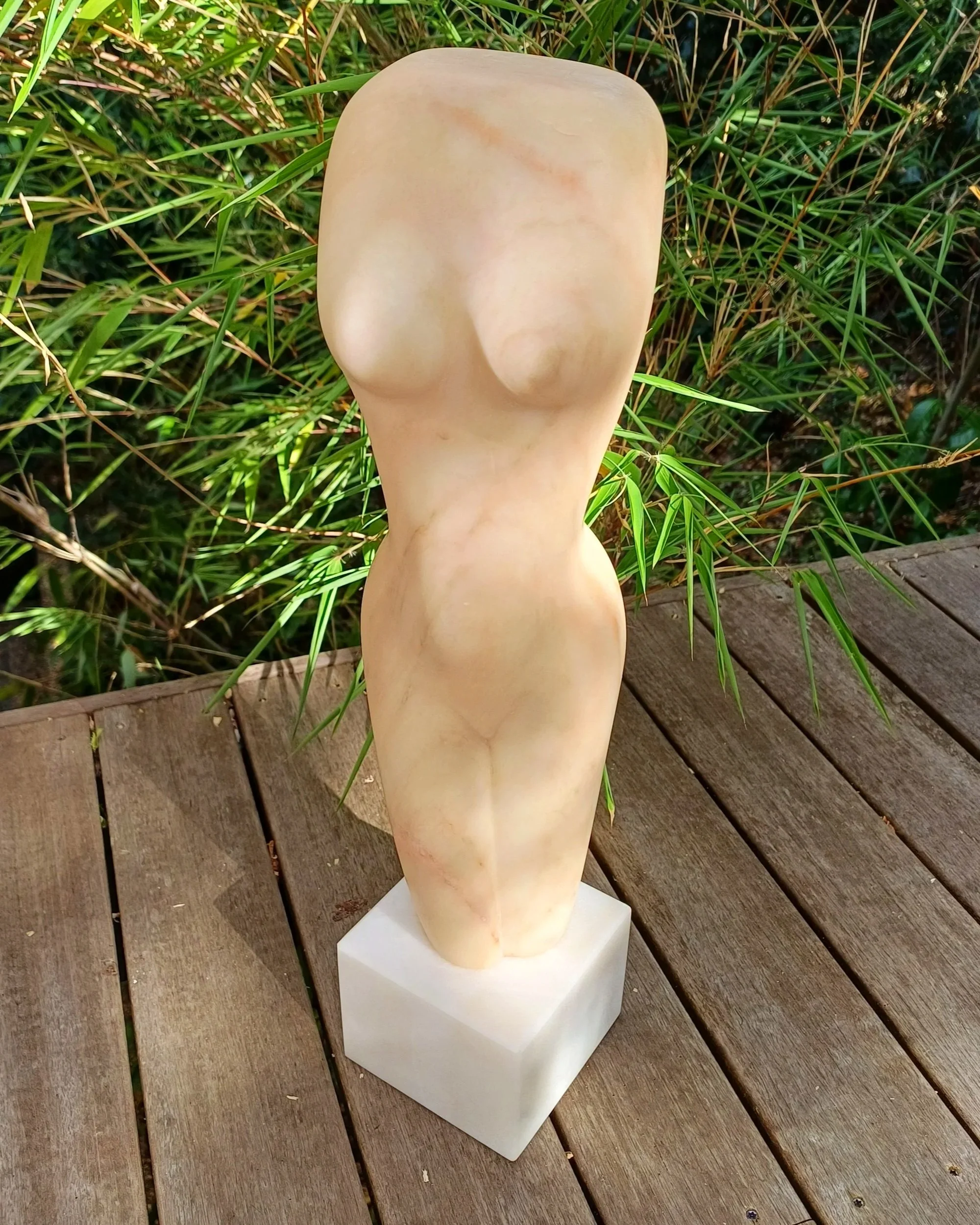 1000062838.jpg