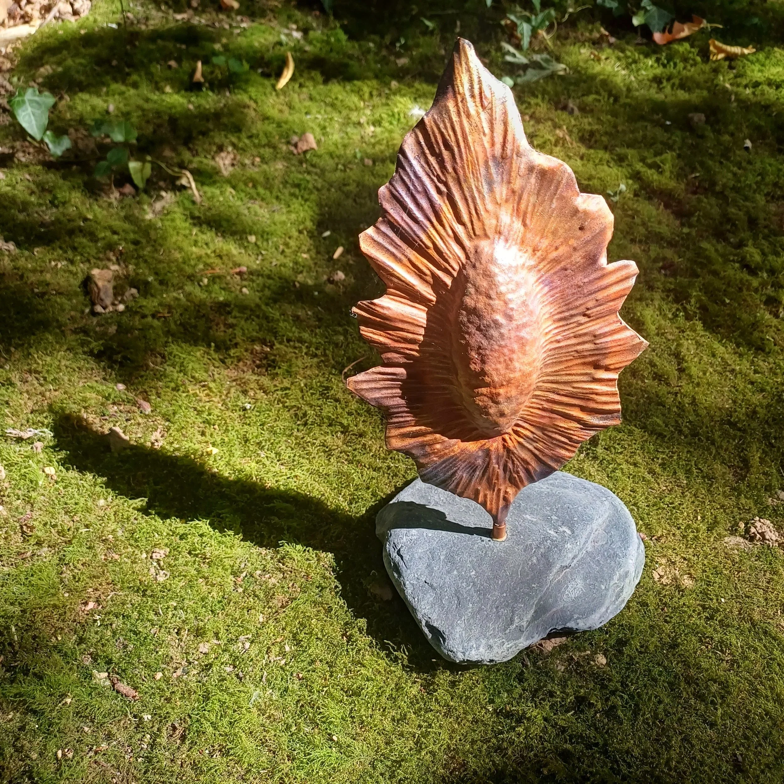 1000063163.jpg